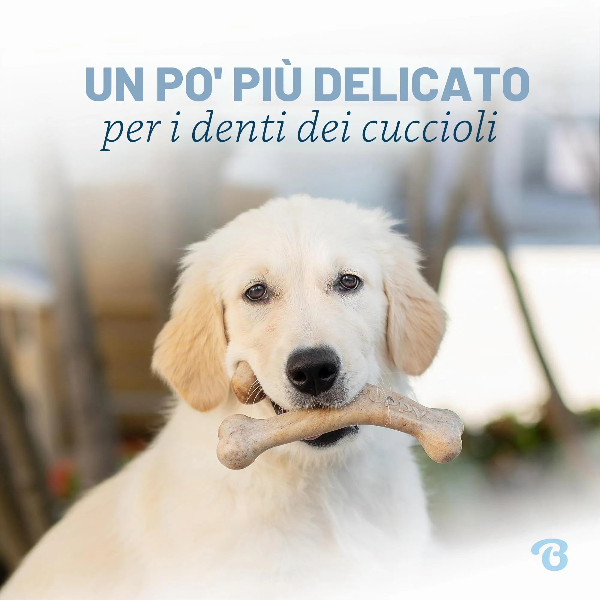 Benebone Wishbone Gioco da Masticare, Bacon Reale, Piccolo - immagine 2