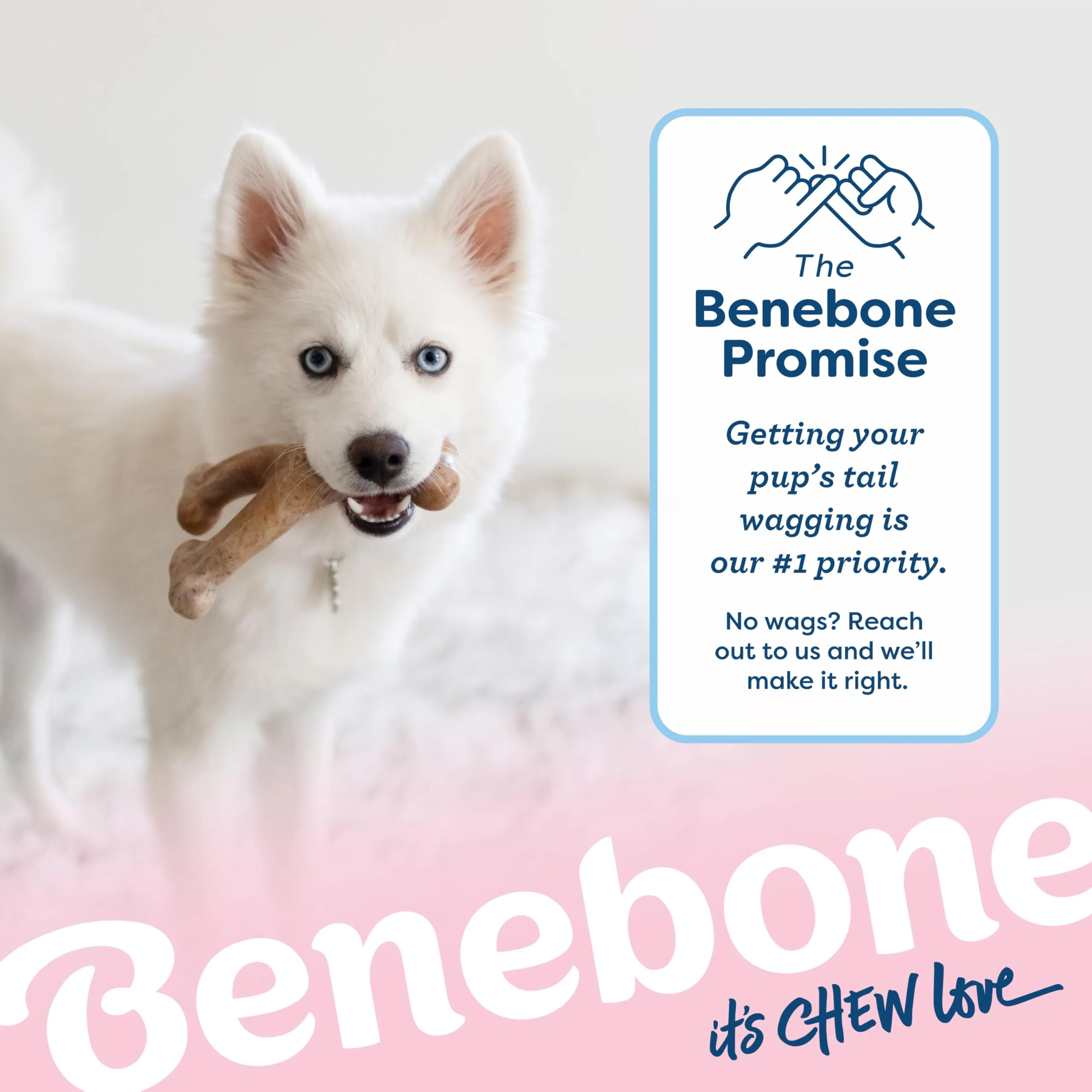 Benebone Wishbone Gioco da Masticare, Bacon Reale, Piccolo - immagine 6
