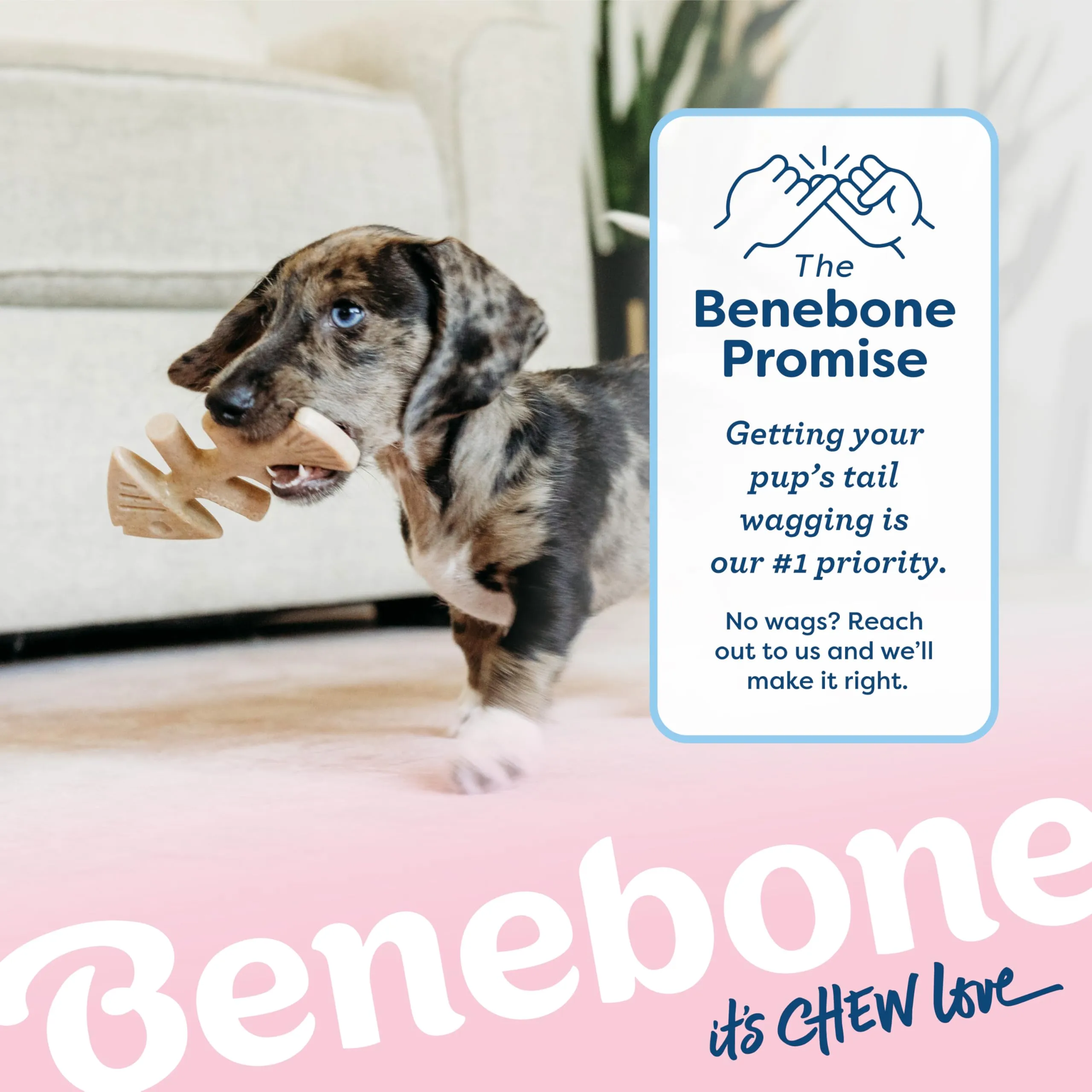 Benebone Puppy Fishbone Dog Chew Toy, 2 Pack - immagine 6