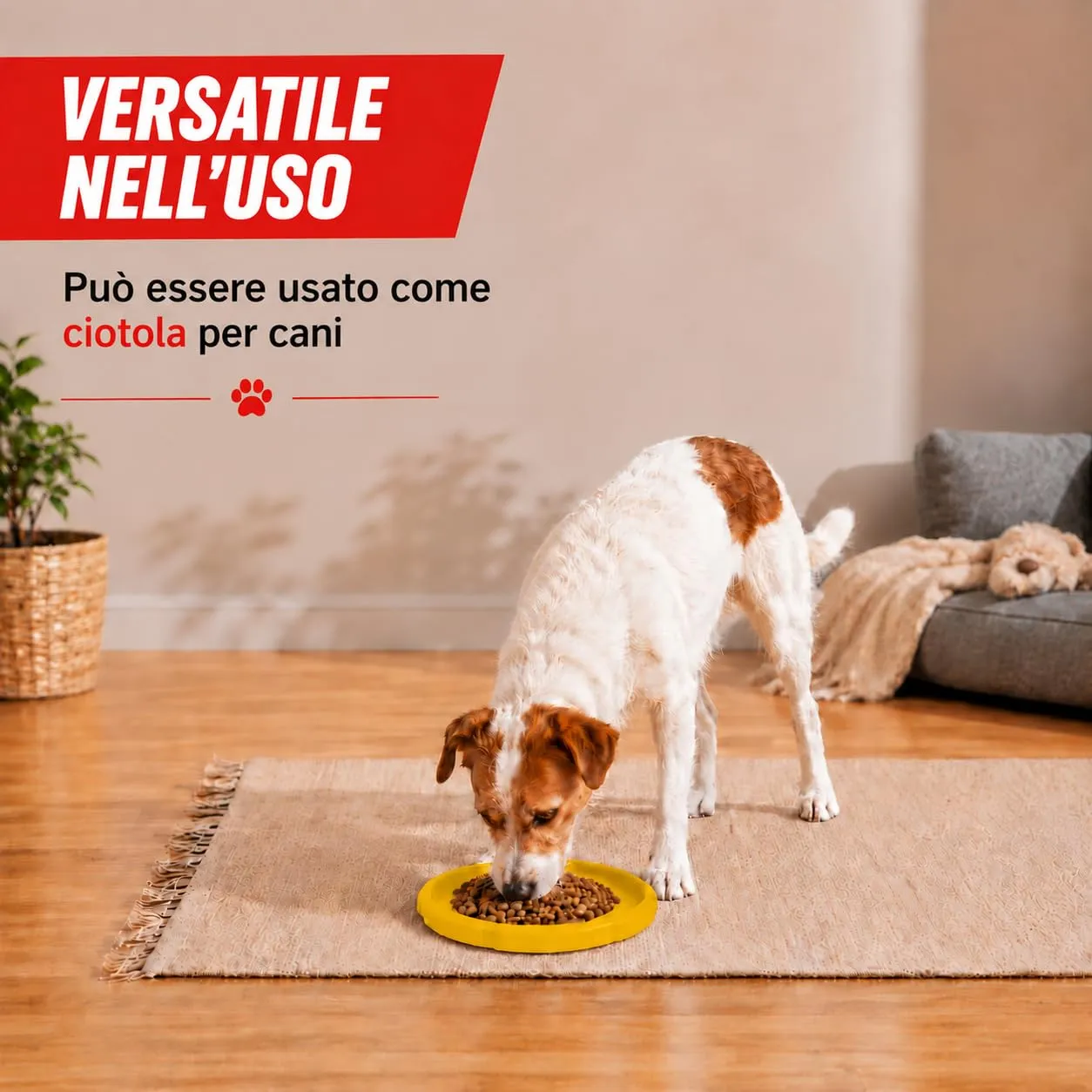 JAPORIA Frisbee per Cani in Gomma Morbida, 2 Pezzi, Amarillo-Morado - immagine 5