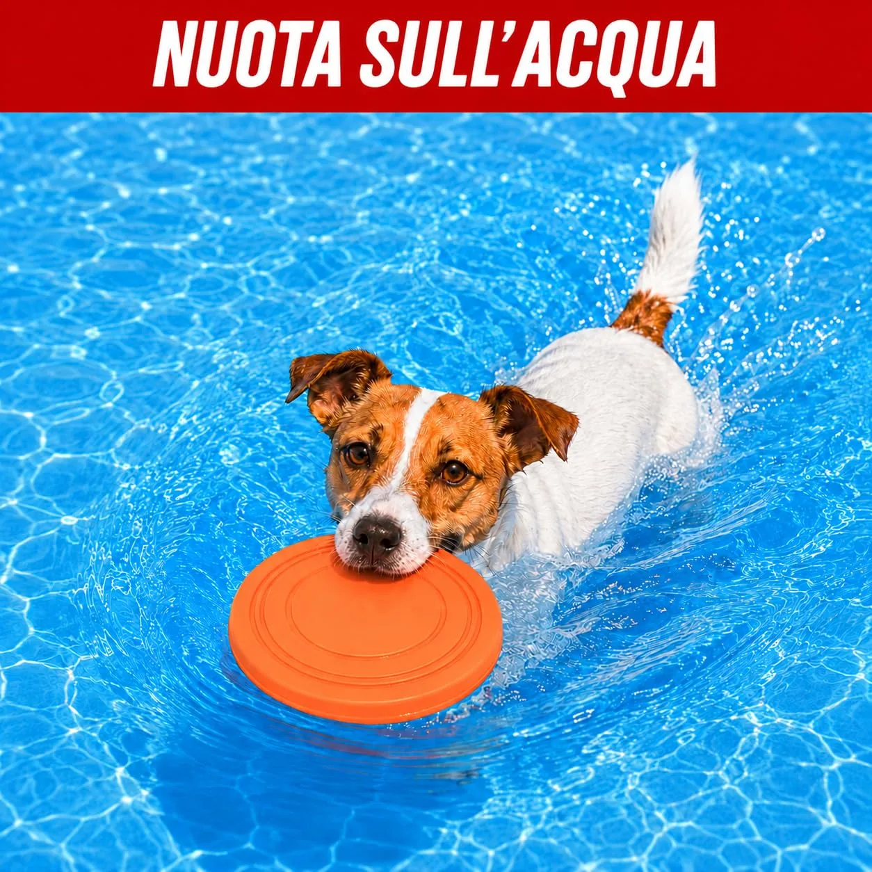 JAPORIA Frisbee per Cani in Gomma Morbida, 2 Pezzi, Texture Antiscivolo, Naranja-Azul - immagine 4