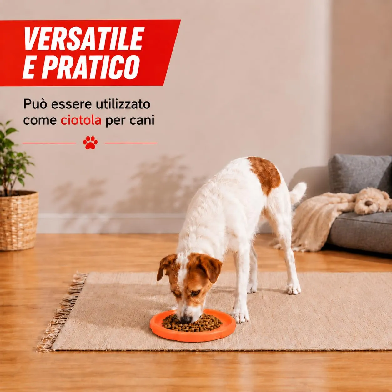 JAPORIA Frisbee per Cani in Gomma Morbida, 2 Pezzi, Texture Antiscivolo, Naranja-Azul - immagine 5