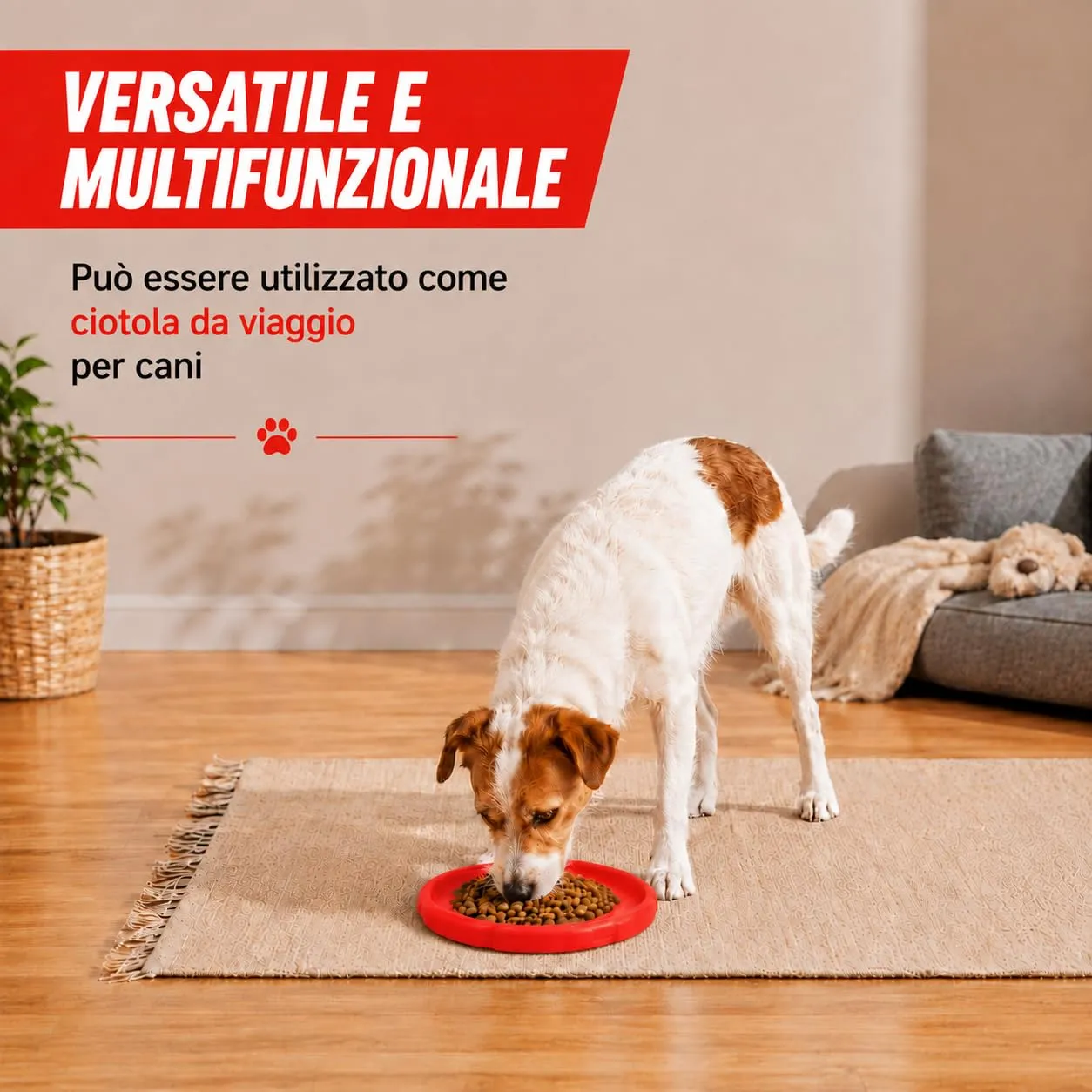 JAPORIA Frisbee per Cani in Gomma Morbida, 2 Pezzi, Rosso e Verde - immagine 5