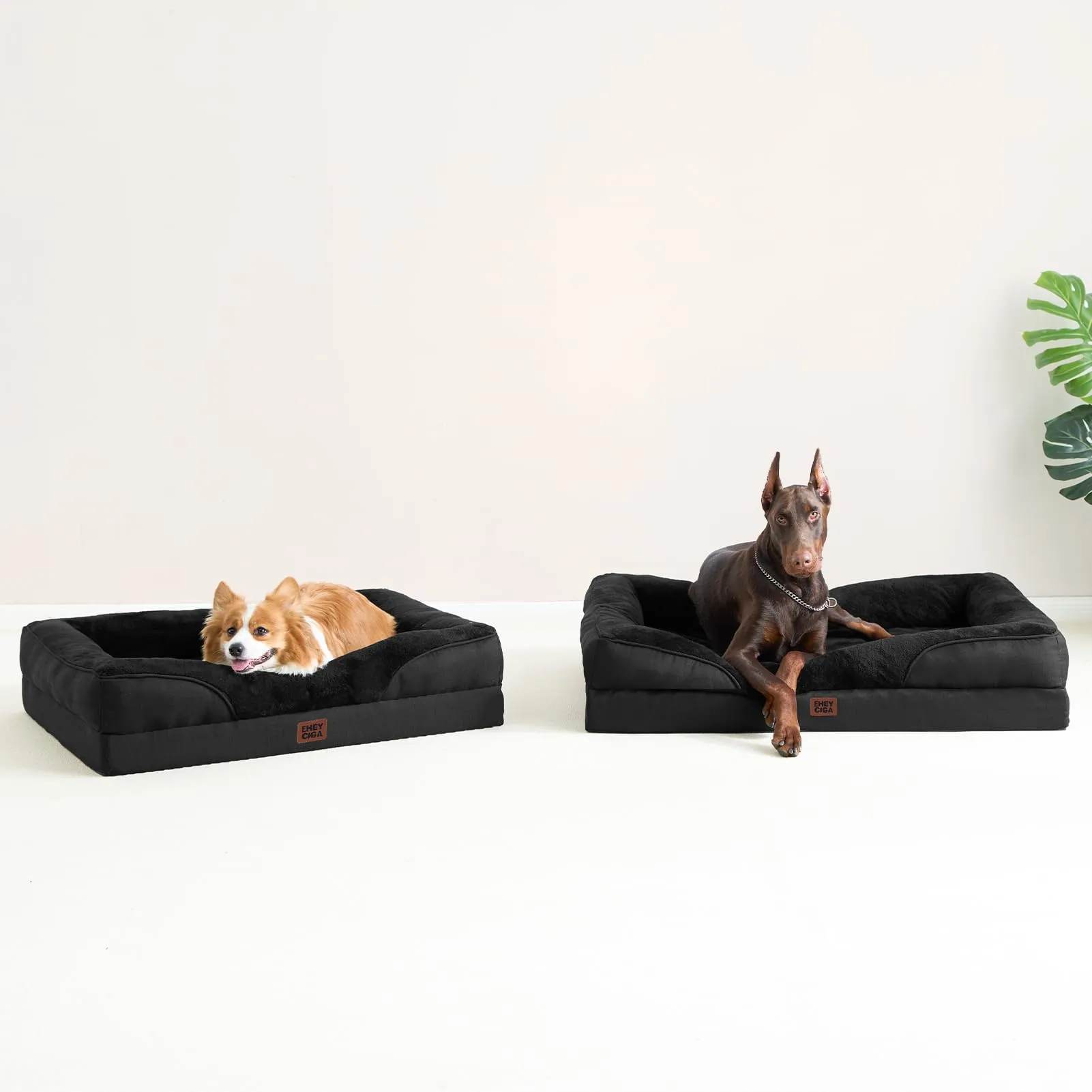 EHEYCIGA Cuccia Cane Interno, 76x51x16.5cm, Nero - immagine 8