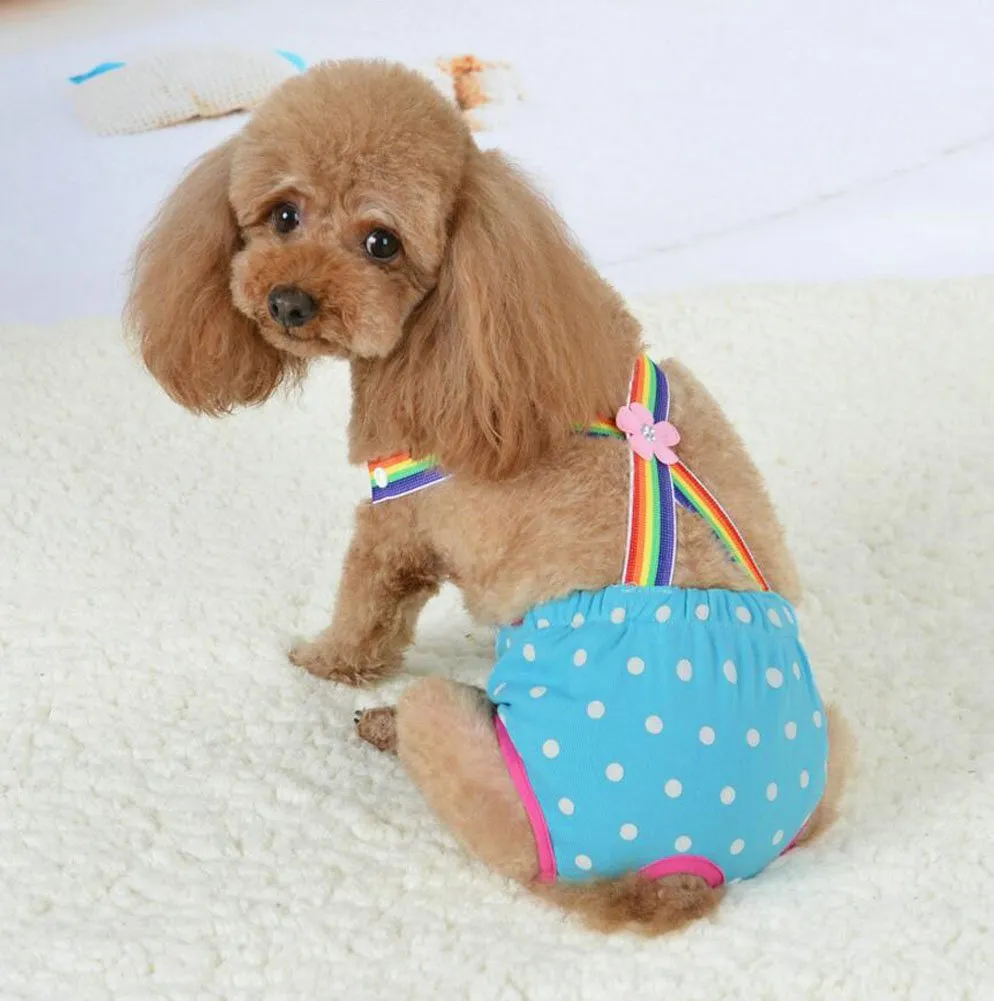 Diyafas Puntino Cane Pantaloni Pannolino Igiene per Cani di Piccola Taglia, Blu - immagine 6