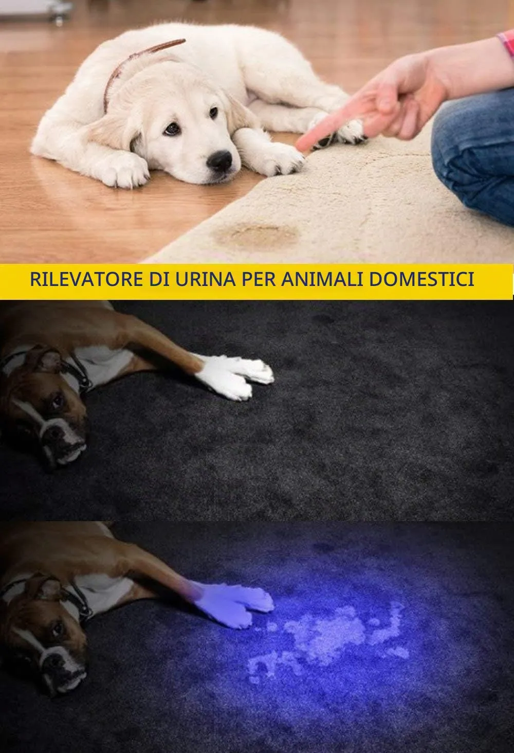 DARKBEAM Torcia UV 395nm LED Lampada di Wood Portatile - immagine 2
