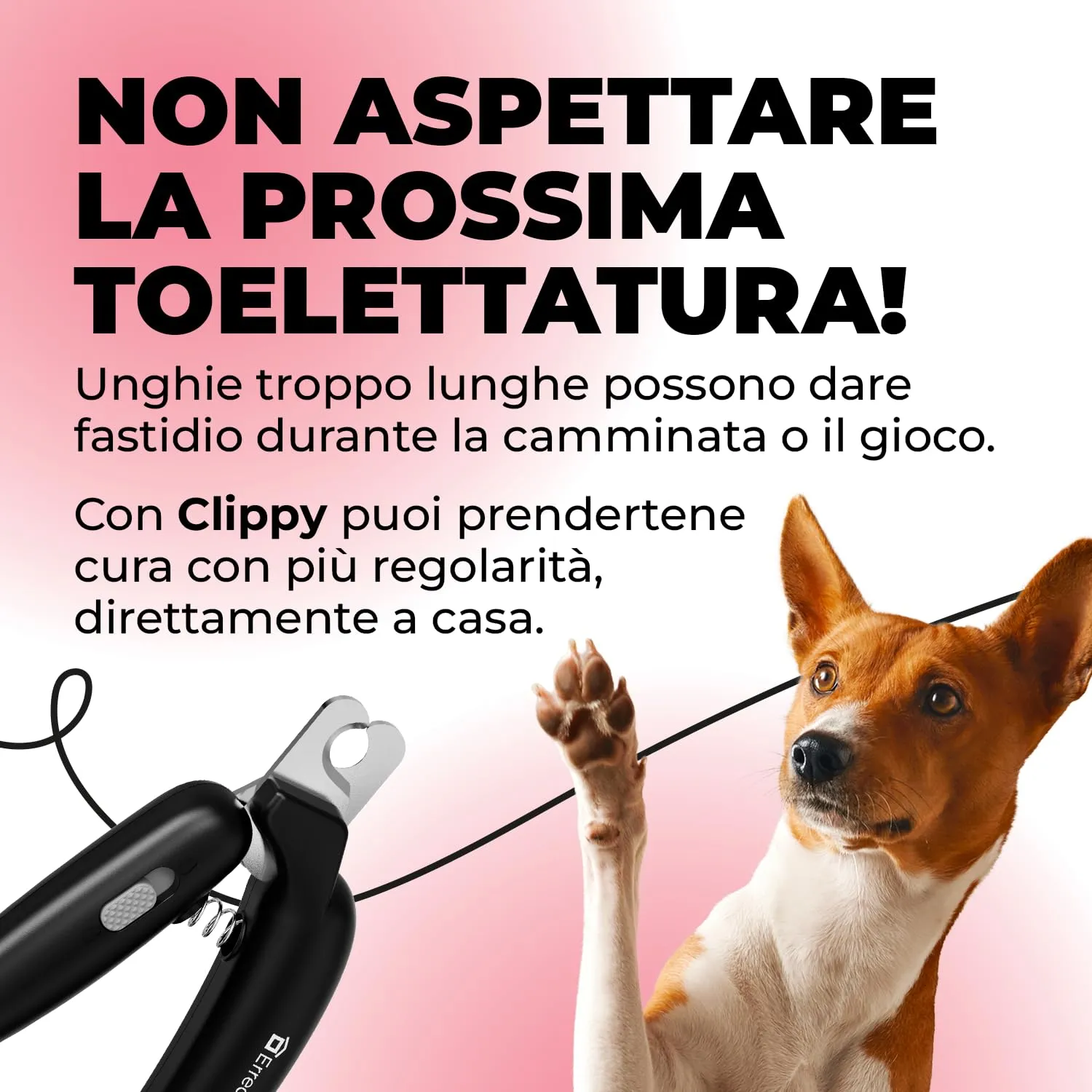 ErreHome Clippy Tagliaunghie per Cani, Gatti e Piccoli Animali - immagine 3