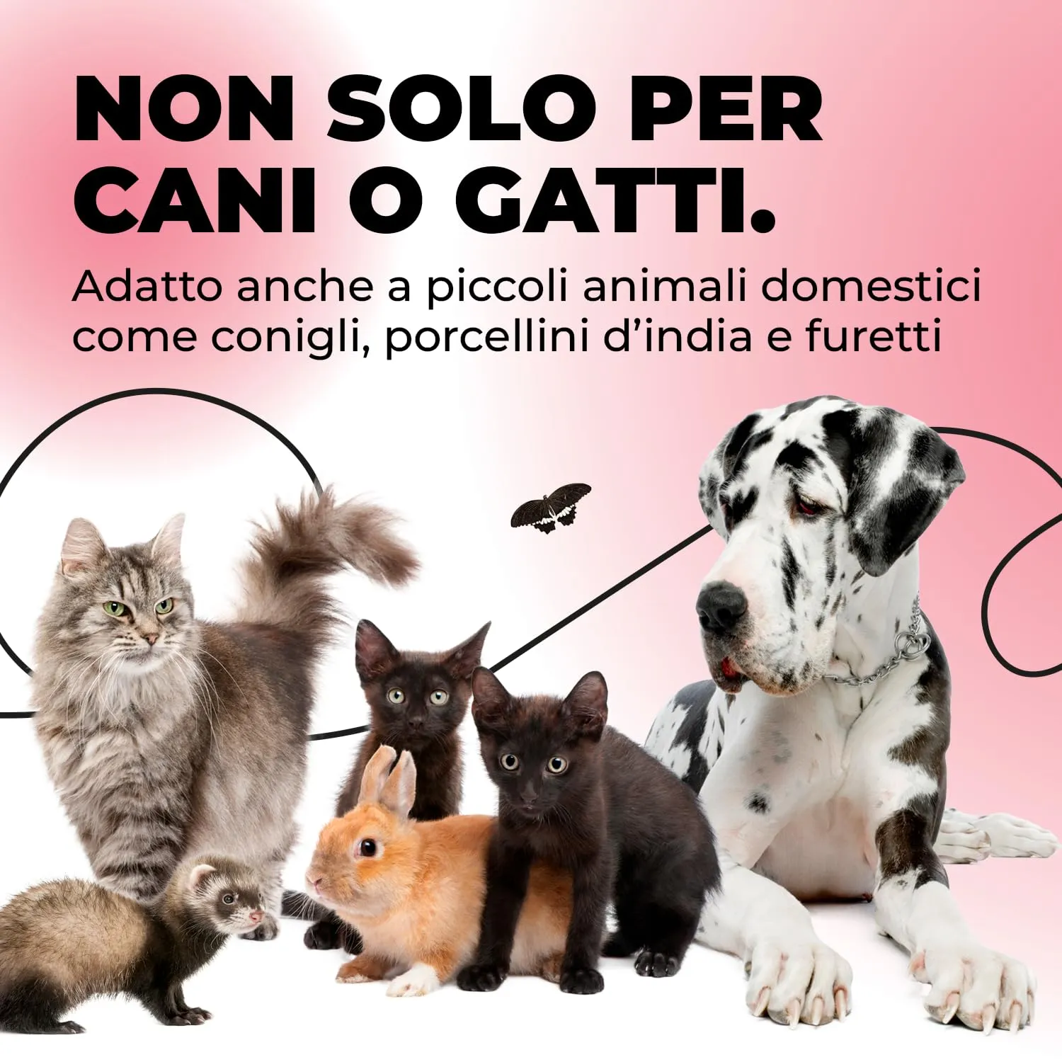 ErreHome Clippy Tagliaunghie per Cani, Gatti e Piccoli Animali - immagine 6