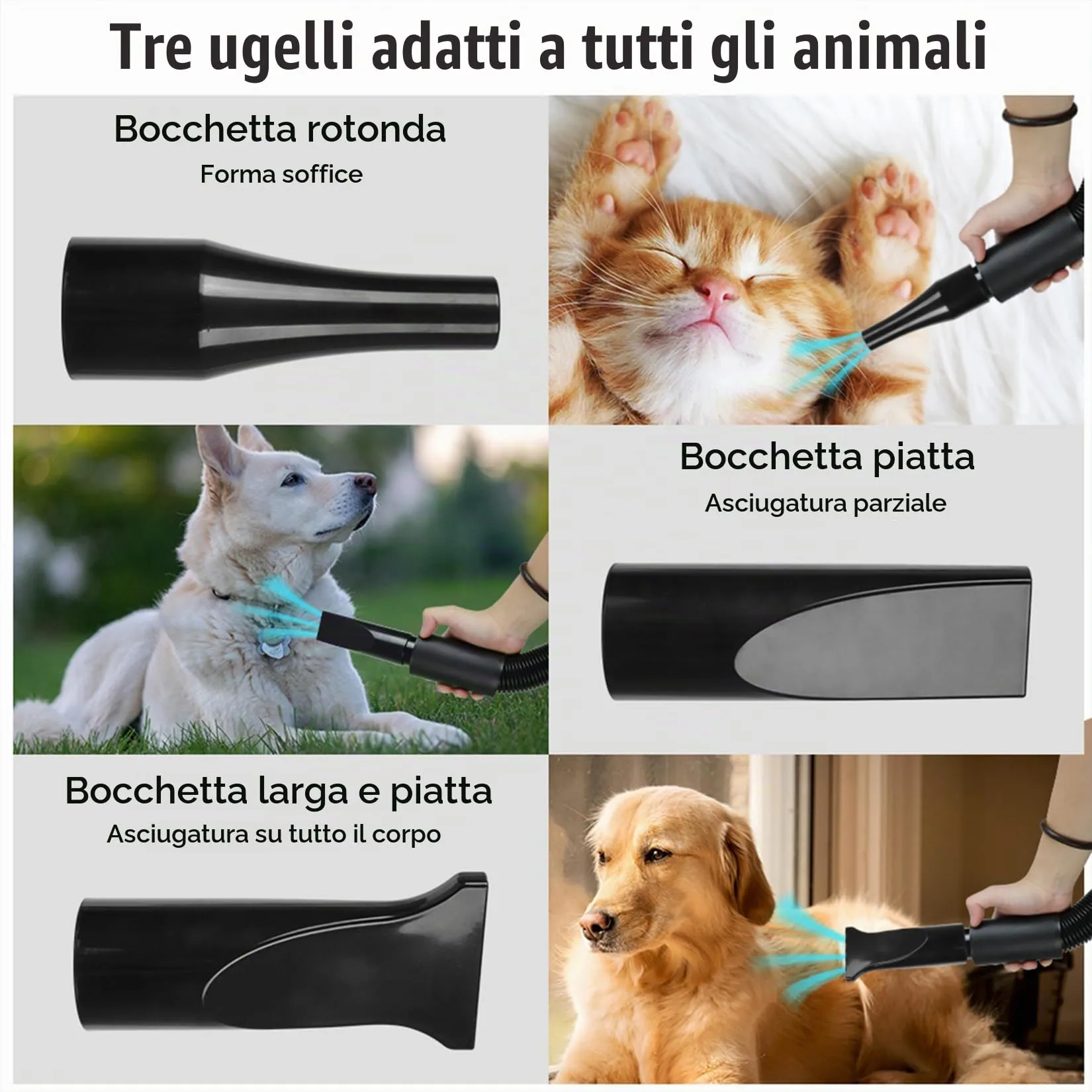 Memows Soffiatore Asciugacapelli per Cani 2800W con 4 Ugelli, Velocità e Temperatura Regolabili, Nero - immagine 6