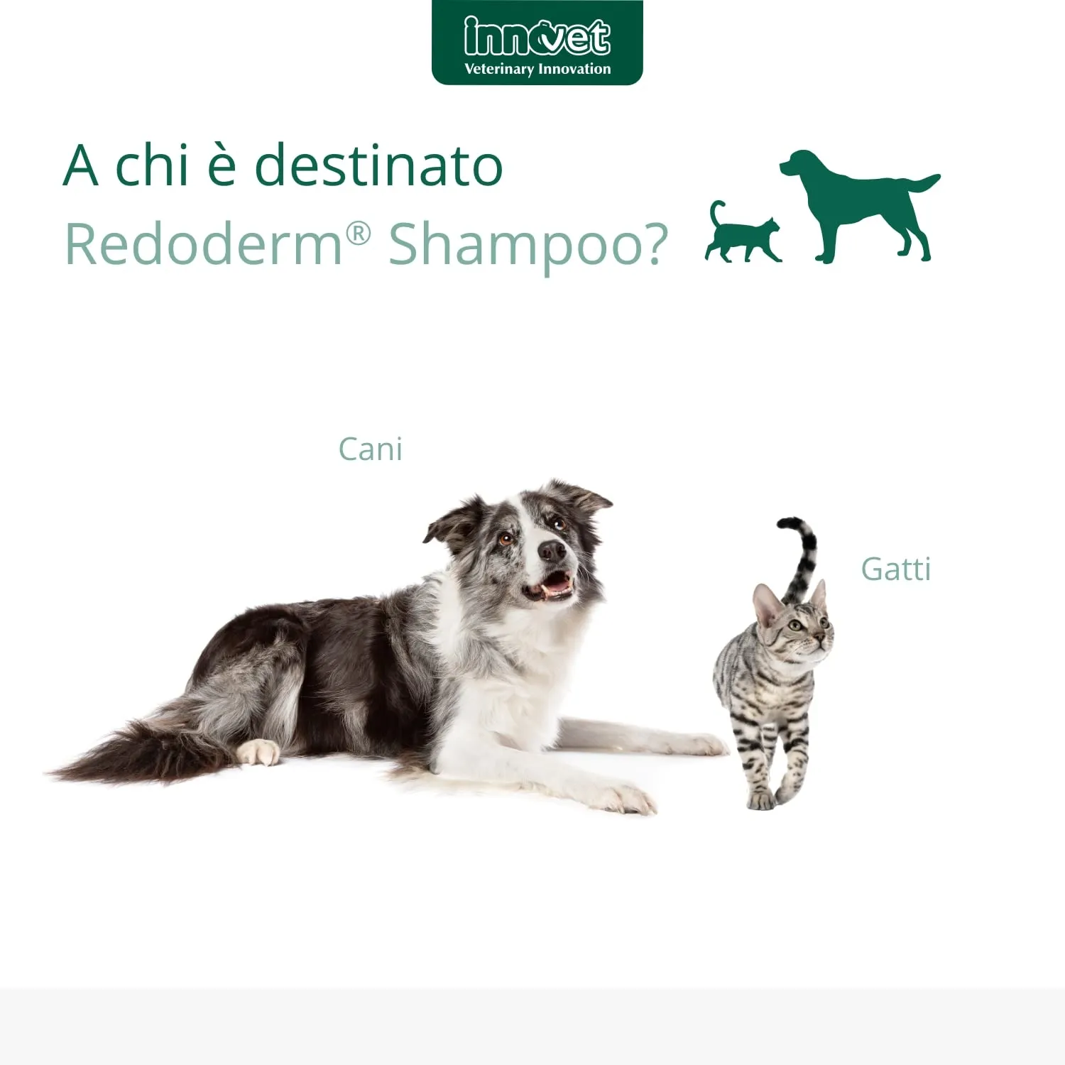 Innovet Redoderm Shampoo per Cani e Gatti, 2000 ml - immagine 5