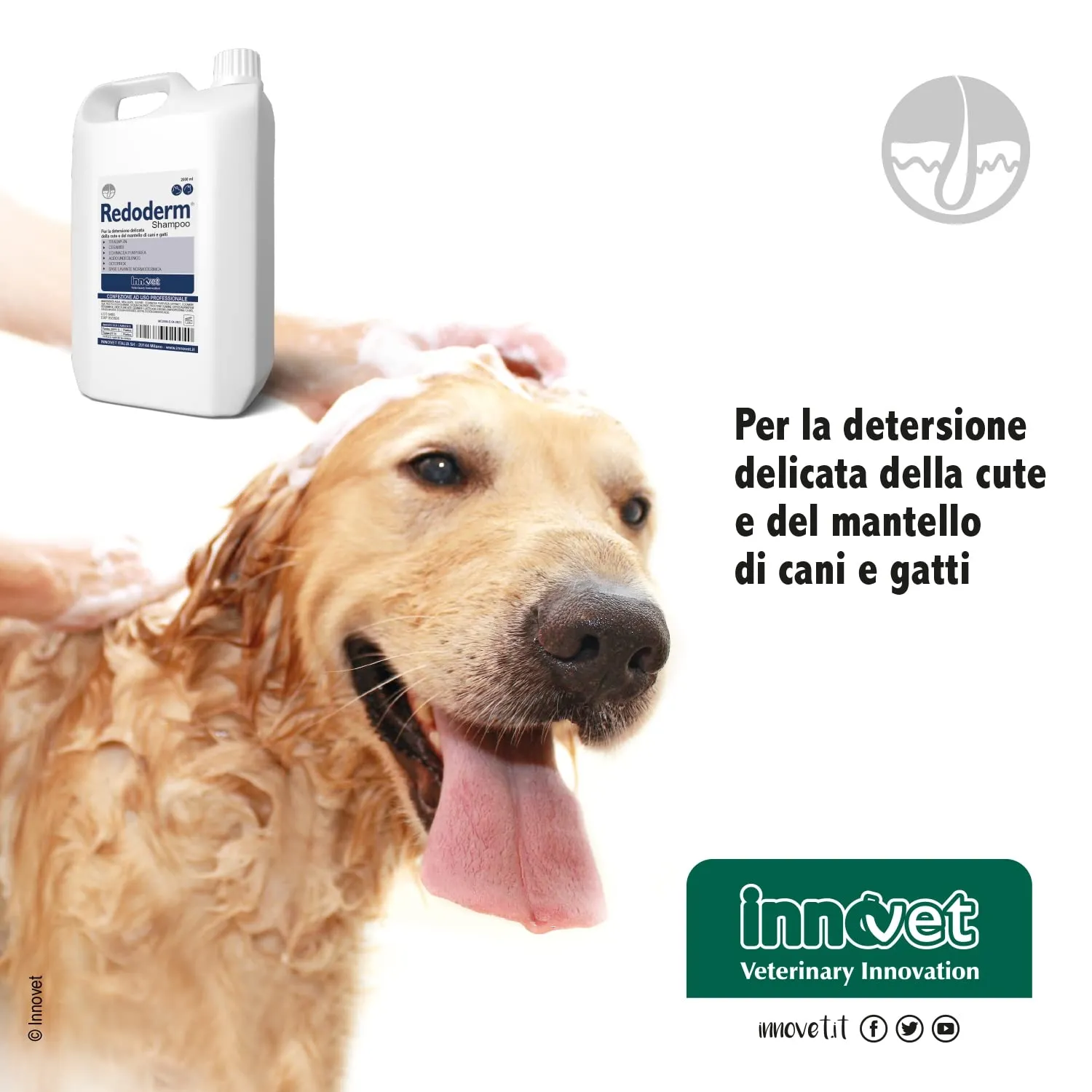 Innovet Redoderm Shampoo per Cani e Gatti, 2000 ml - immagine 7