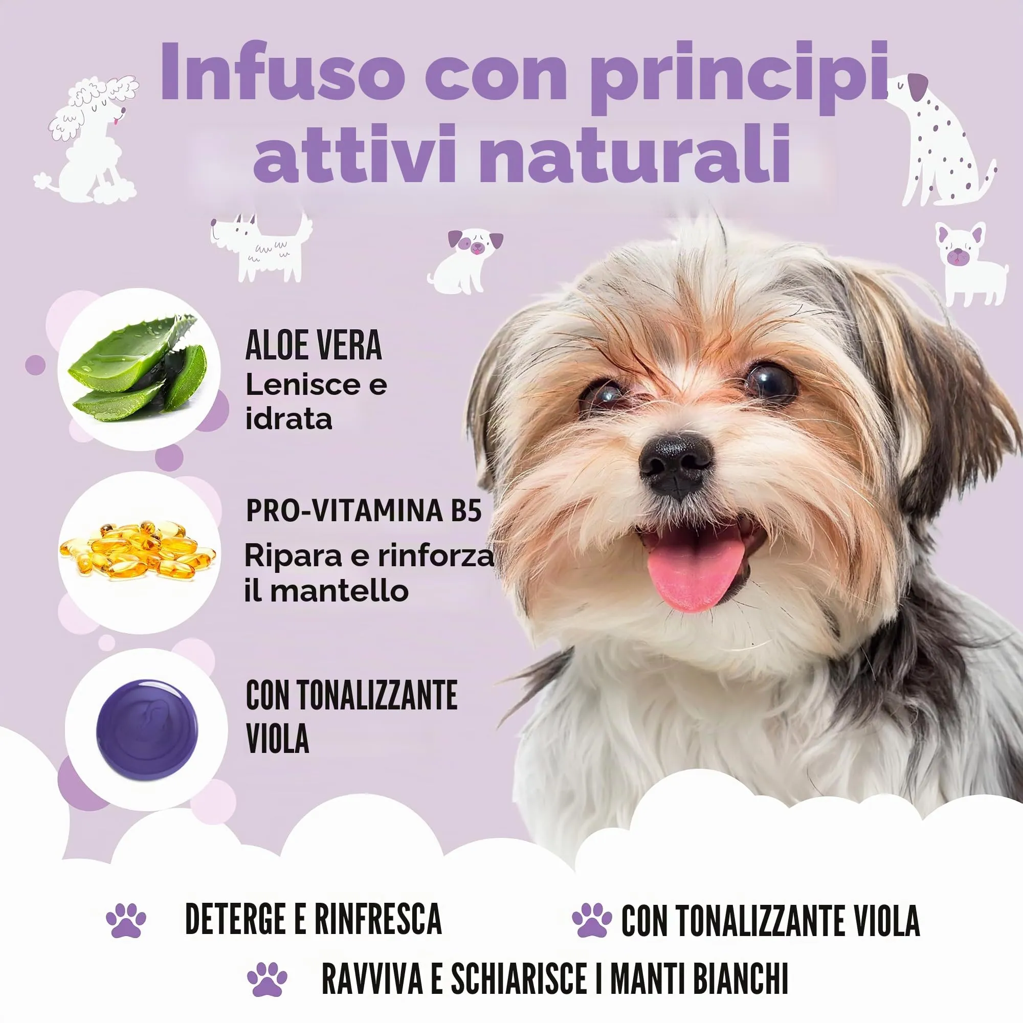 Buddycare Shampoo per cani bianchi, 1000 ml - immagine 3