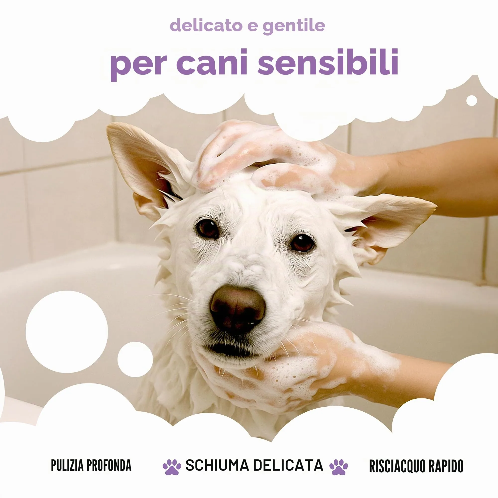 Buddycare Shampoo per cani bianchi, 1000 ml - immagine 4