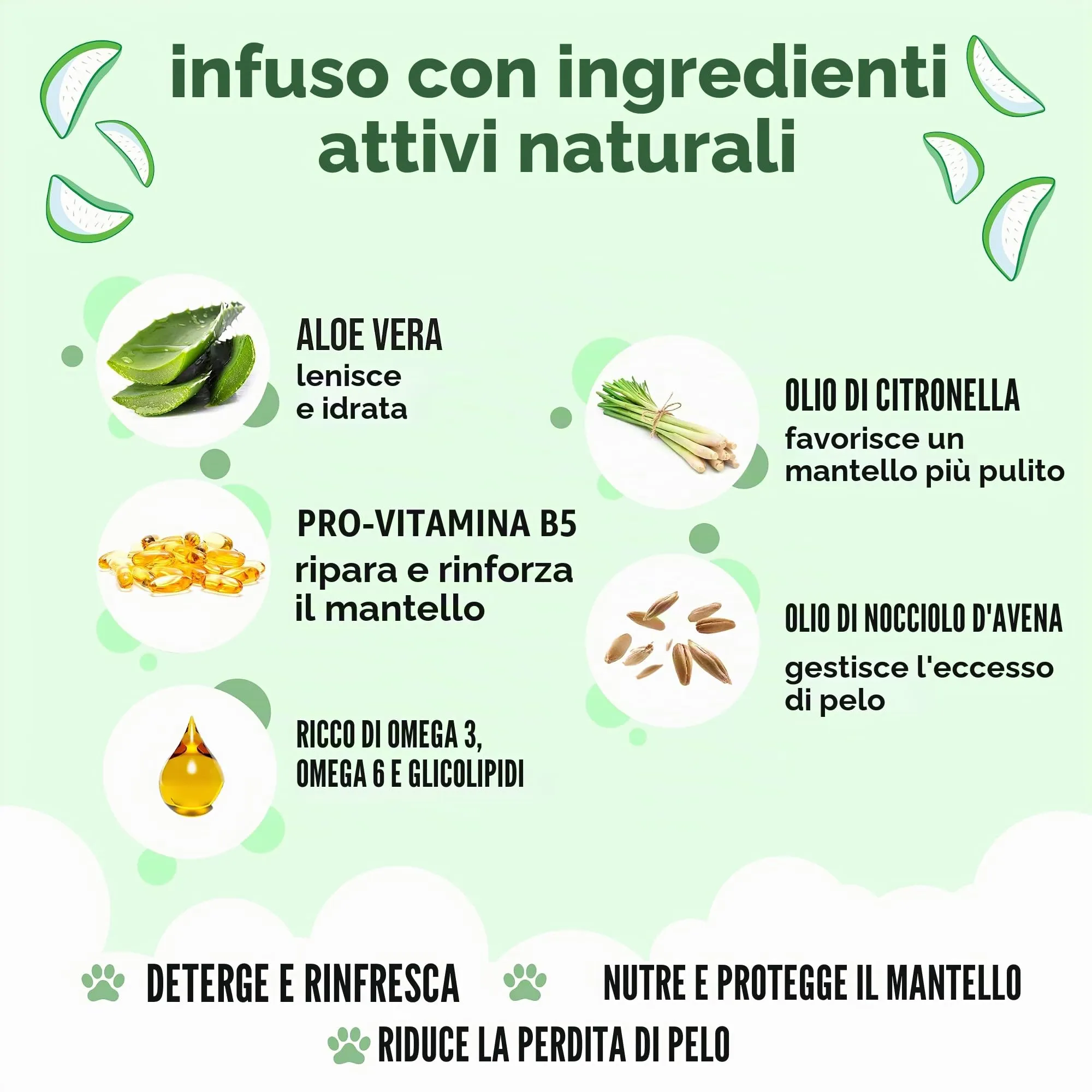 Buddycare Shampoo Shed Control per cani con Aloe Vera, Citronella e Pro Vitamina B5, 5L - immagine 3