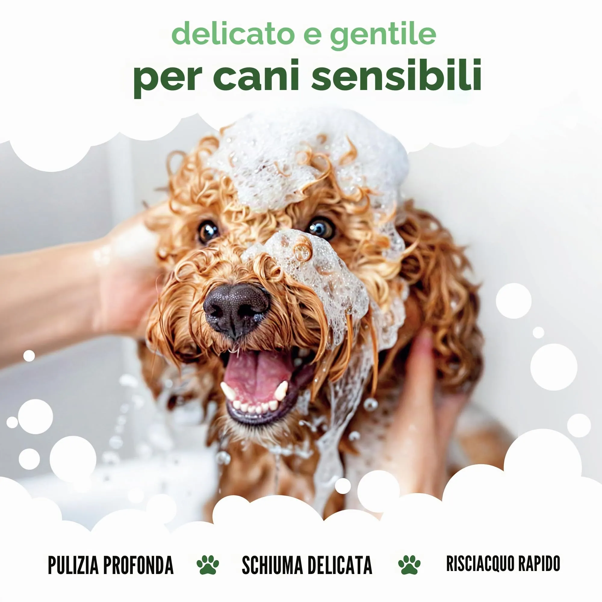 Buddycare Shampoo Shed Control per cani con Aloe Vera, Citronella e Pro Vitamina B5, 5L - immagine 4