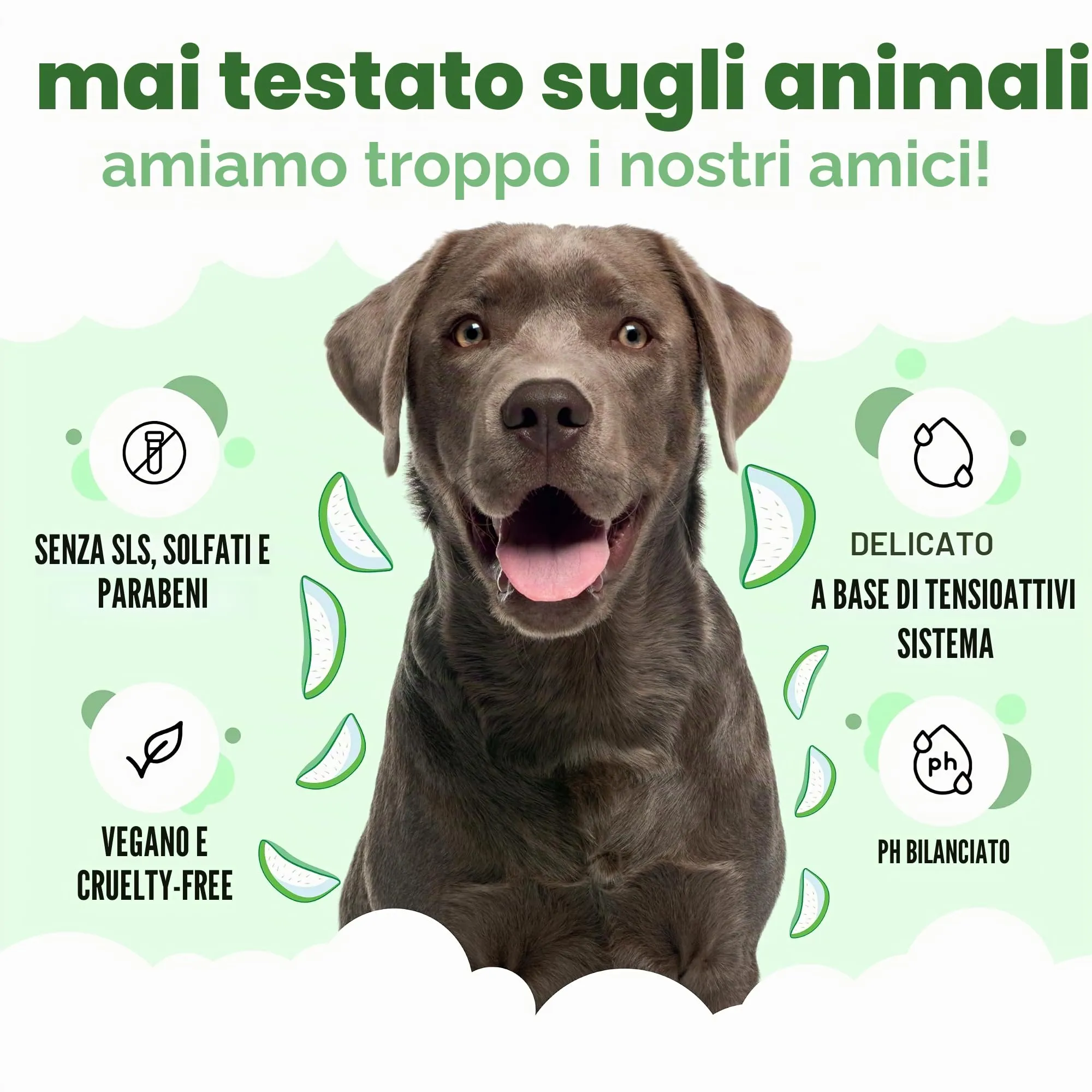 Buddycare Shampoo Shed Control per cani con Aloe Vera, Citronella e Pro Vitamina B5, 5L - immagine 5