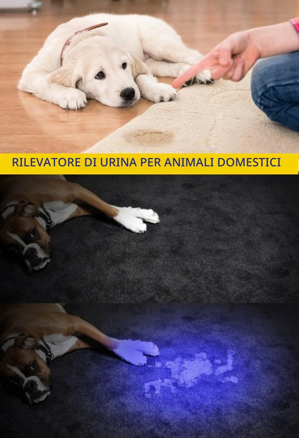 DARKBEAM Torcia UV LED 365nm SK68, Lampada di Wood Portatile (2 Pezzi) - immagine 3