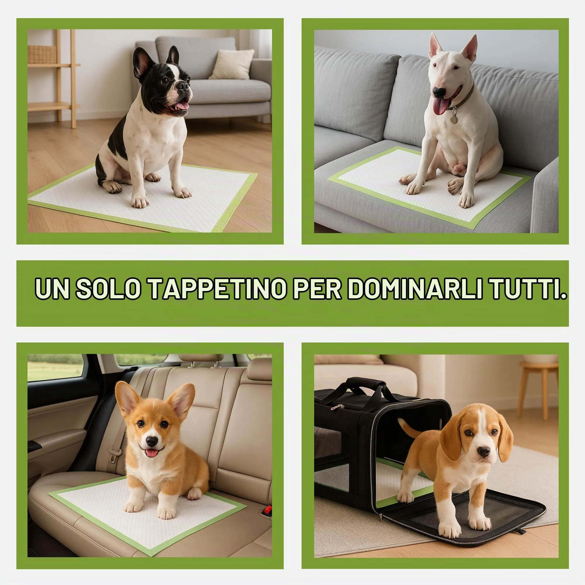 Pogi's Pet Supplies Traversine per cani, 60 x 60 cm, 50 pezzi - immagine 6