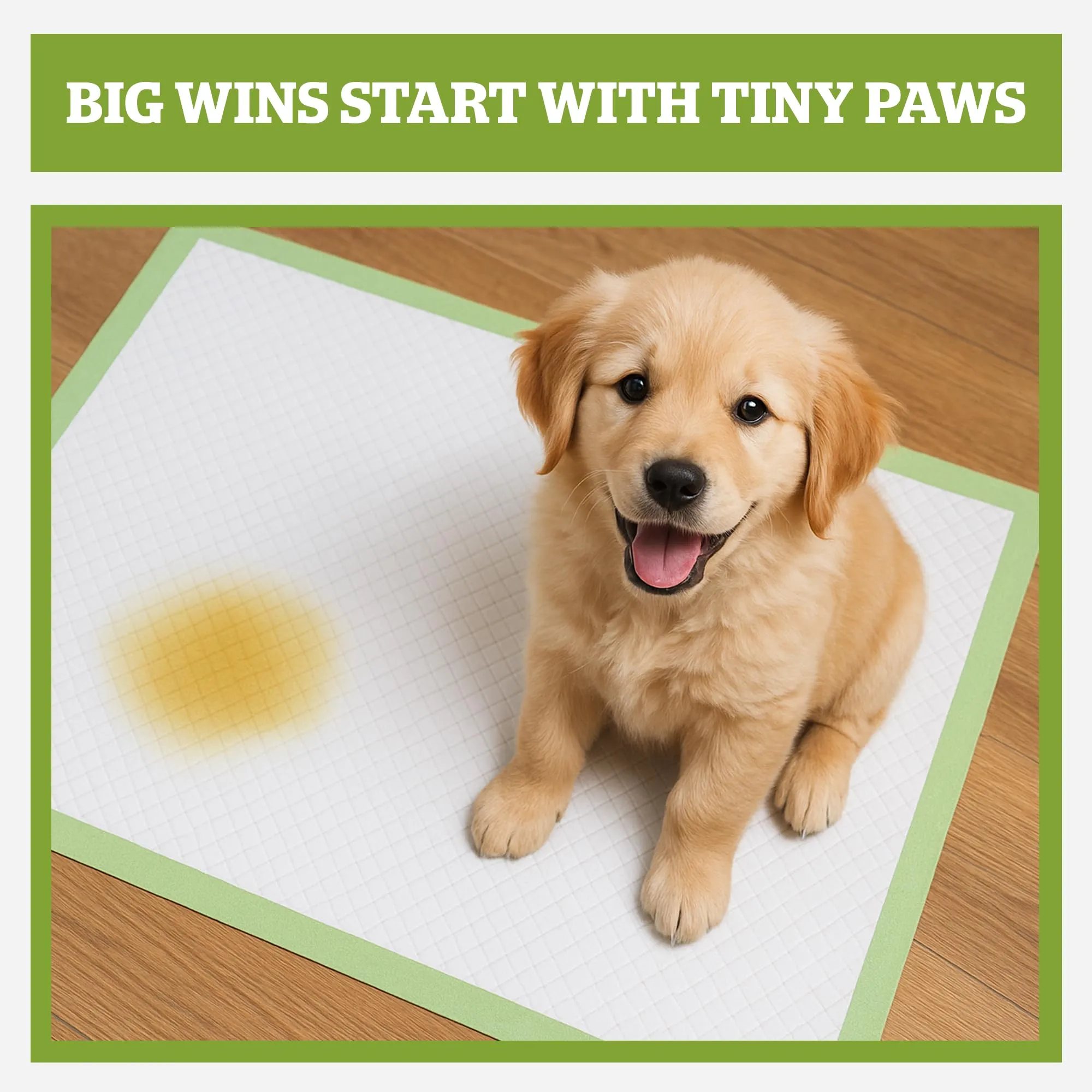 Pogi's Pet Supplies Traversine per cani, 60 x 60 cm, 40 pezzi - immagine 3