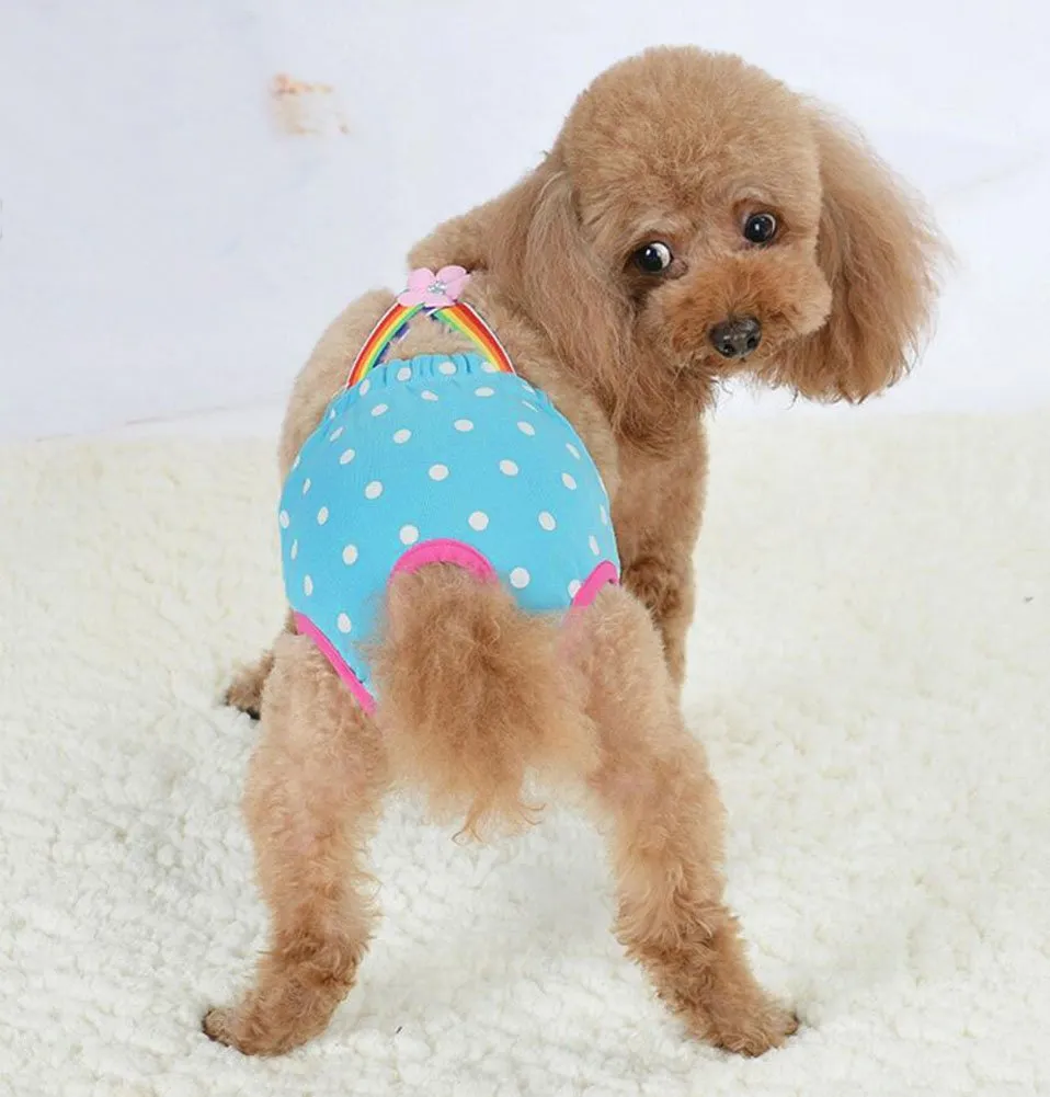 Diyafas Puntino Cane Igiene Pantaloni Pannolino Fisiologico per Cani di Piccola Taglia, Blu, XL (=M) - immagine 7
