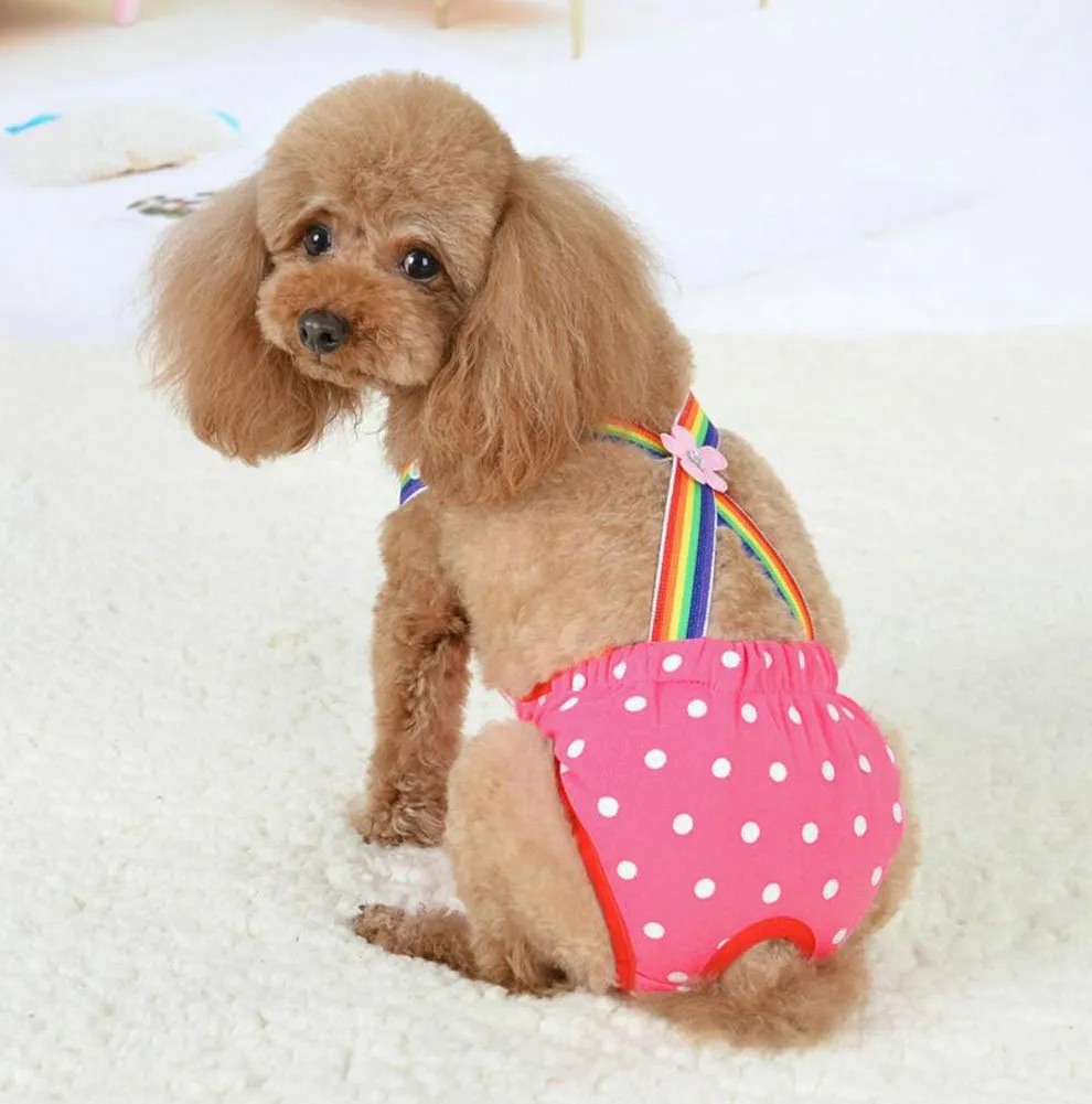 Diyafas Puntino Pantaloni Igienici per Cani di Piccola Taglia, Rosso, Taglia L (=S) - immagine 5