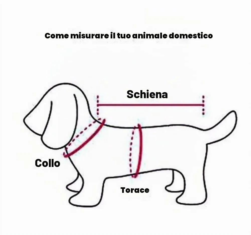 Diyafas Puntino Pantaloni Igienici per Cani di Piccola Taglia, Rosso, Taglia L (=S) - immagine 7