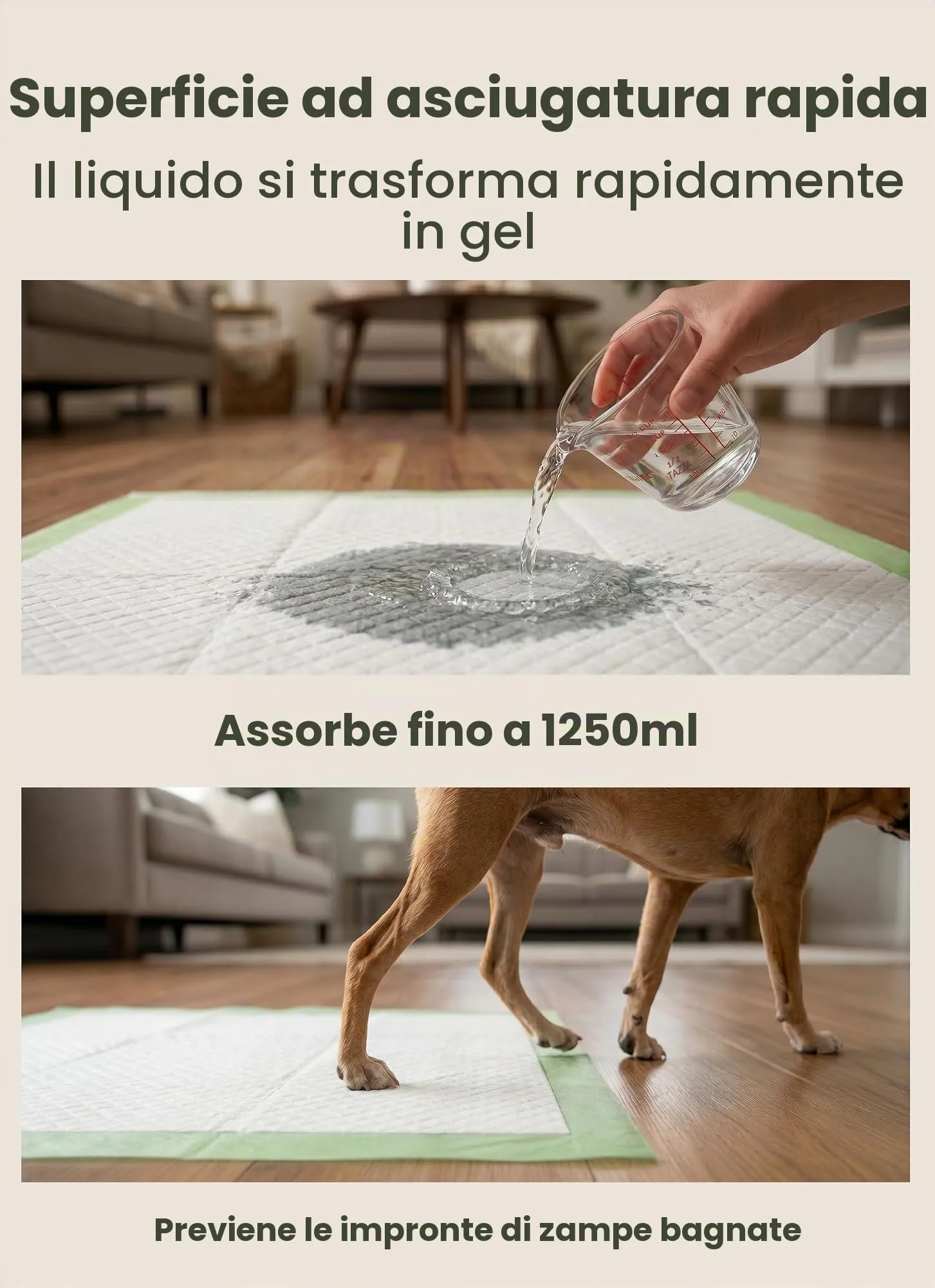 Pogi's Pet Supplies Traversine per cani, 60 x 60 cm, 20 pezzi - immagine 6