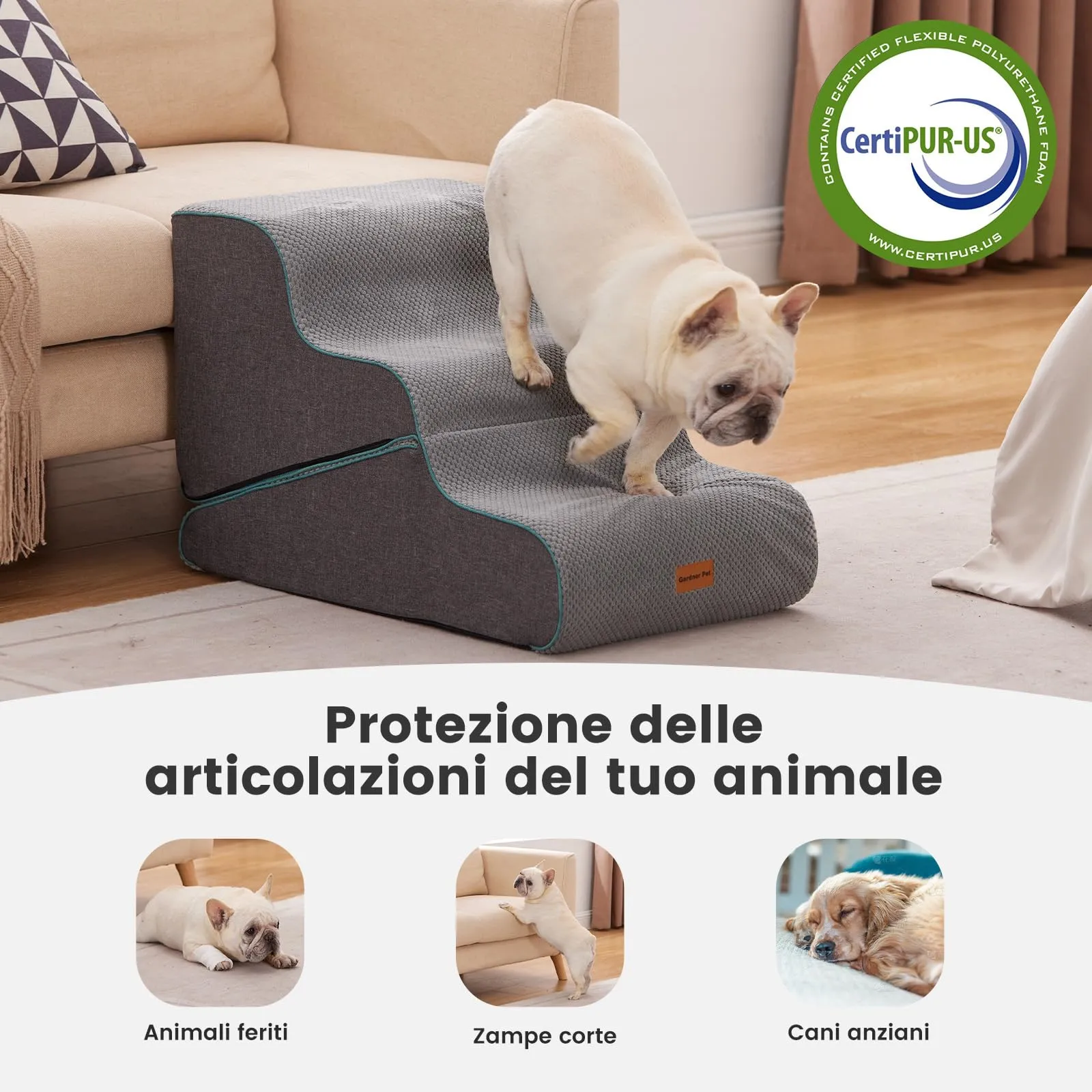 Gardner Pet Scala Cani Pieghevole 2-in-1, 3 Gradini, Grigio - immagine 5