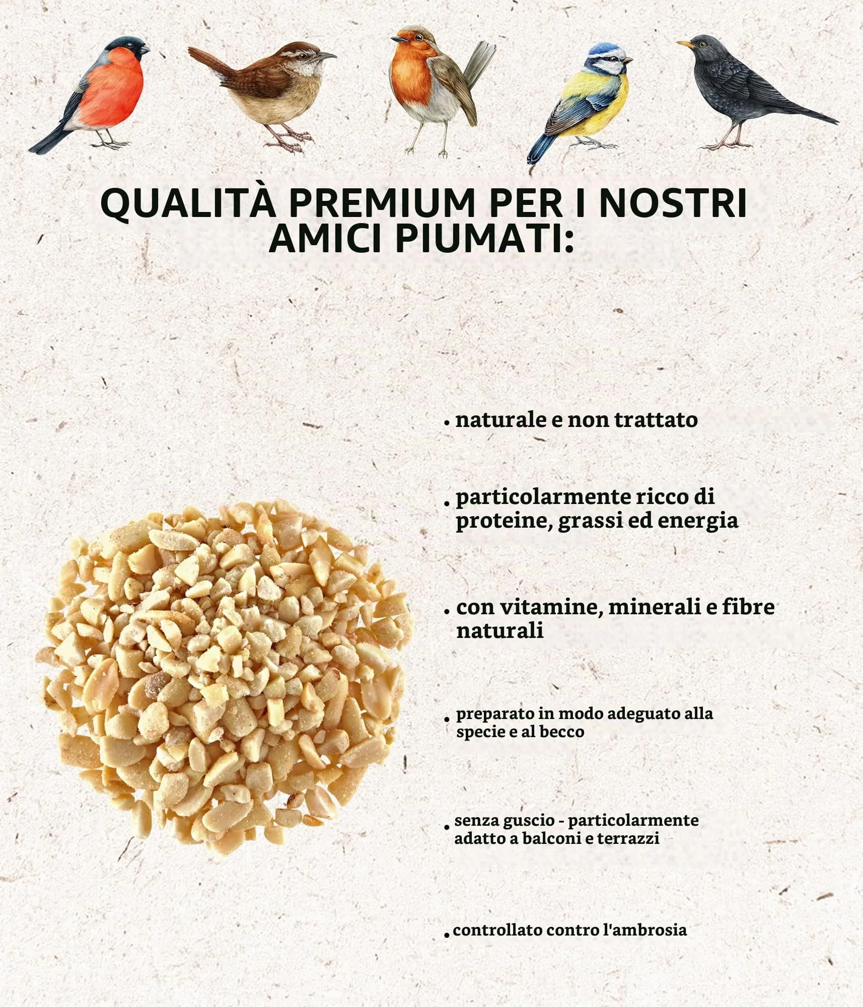 Dehner Natura Premium mangime per uccelli selvatici, arachidi tritate senza buccia, 1 kg - immagine 2