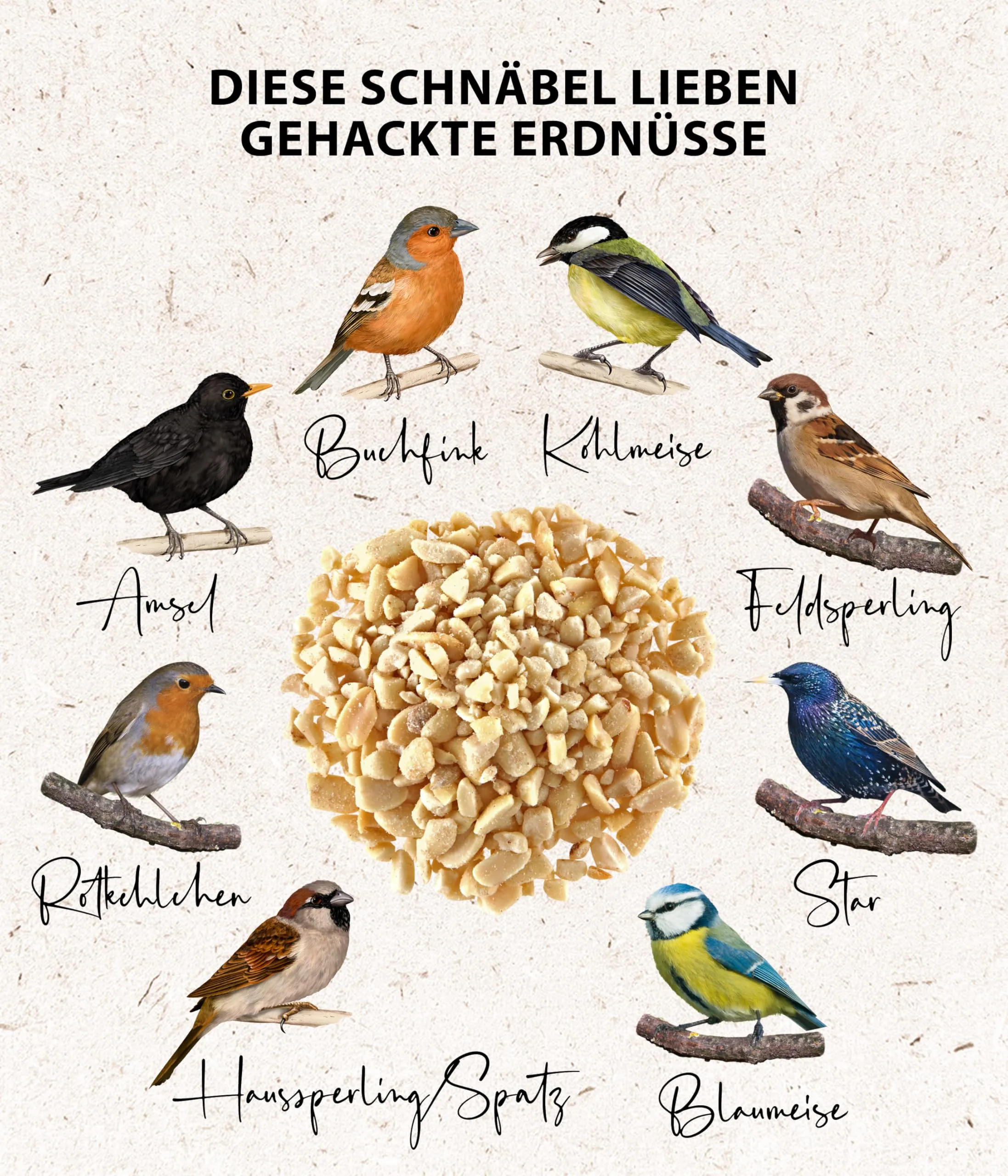 Dehner Natura Premium mangime per uccelli selvatici, arachidi tritate senza buccia, 1 kg - immagine 4