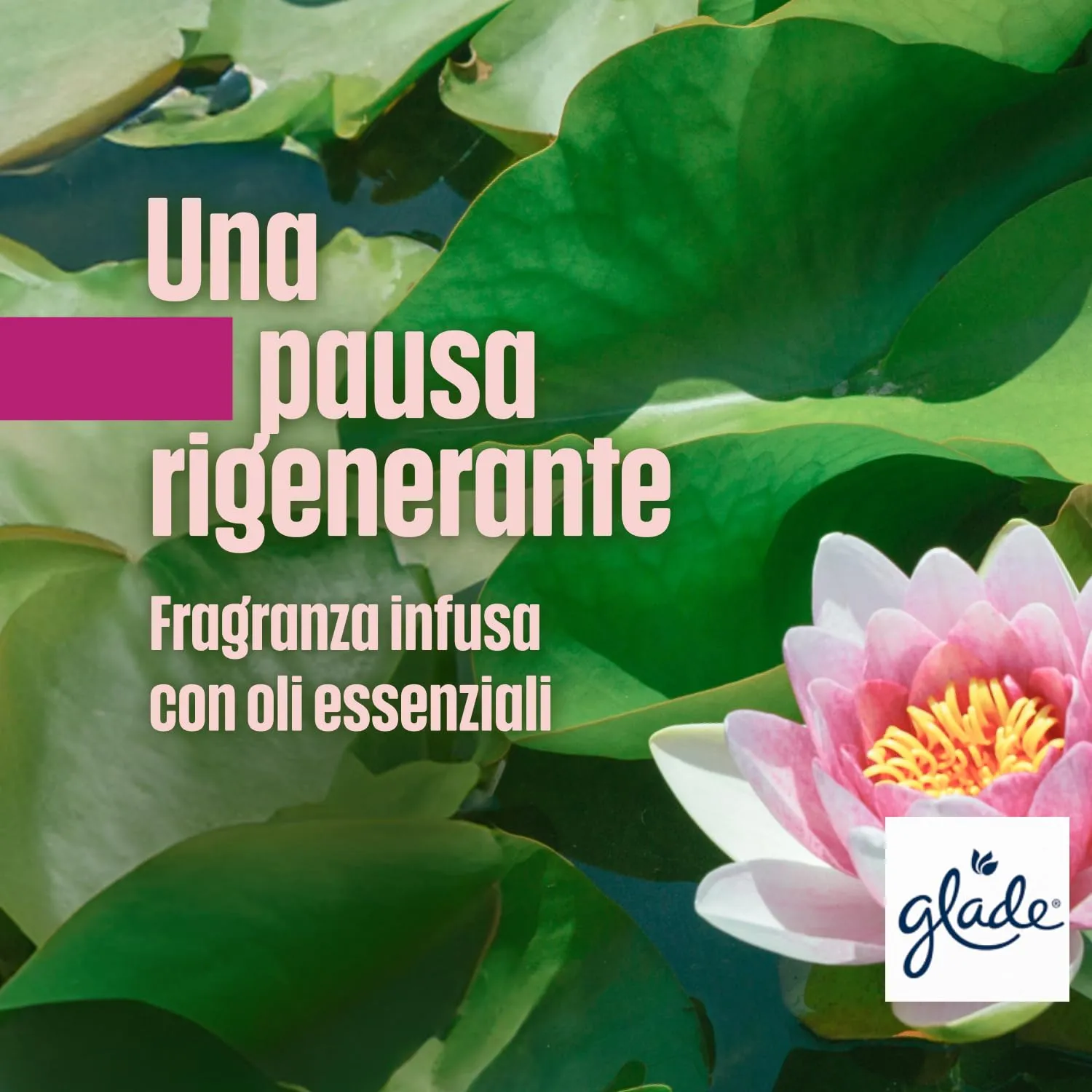 Glade Profumatore per Ambienti a Bastoncini, Relaxing Zen, 3 x 50ml - immagine 7