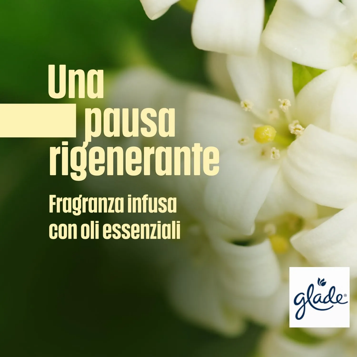 Glade Profumatore per Ambienti Bastoncini, Sandalwood & Jasmine, 3 x 50ml - immagine 7