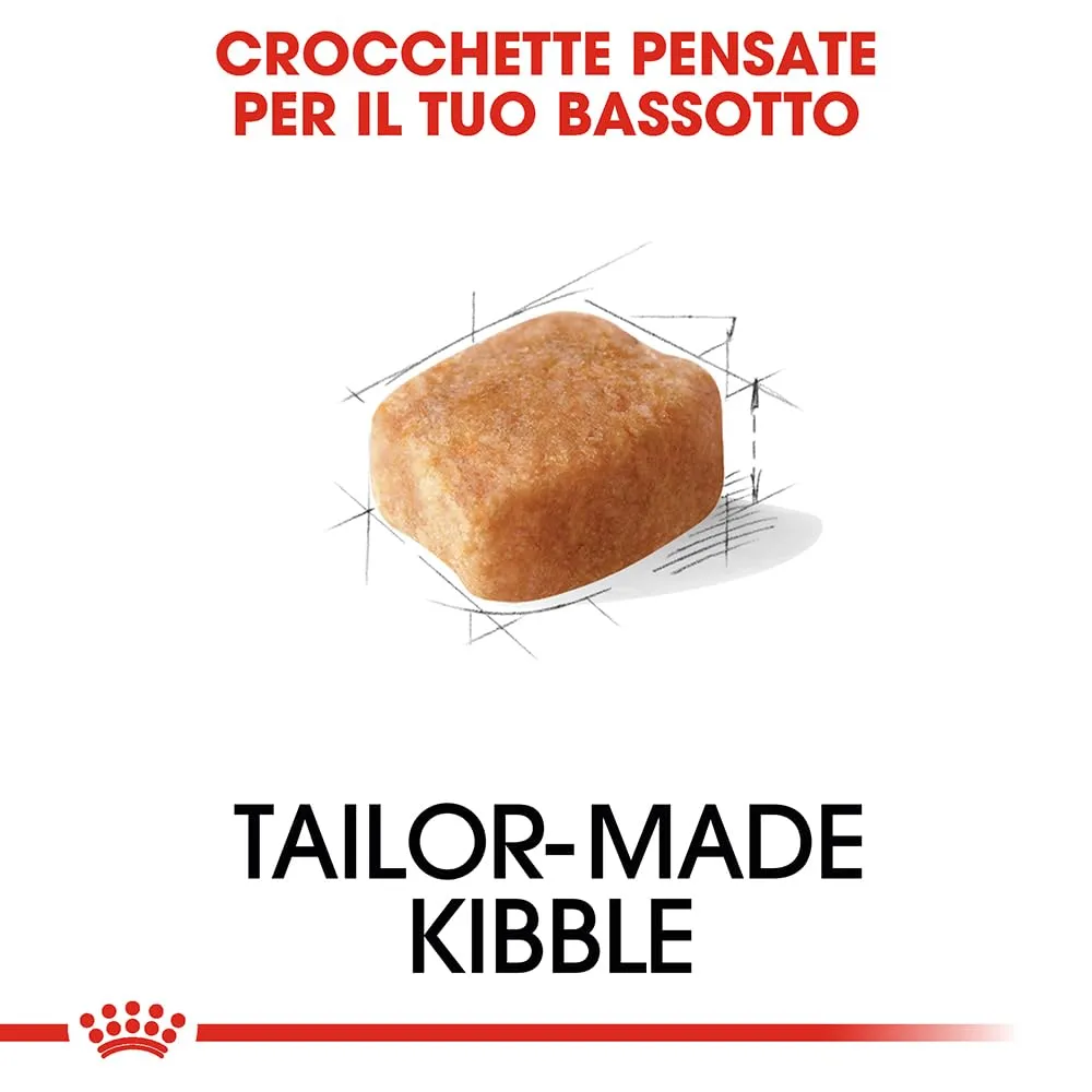 Royal Canin Dachshund Adult Cibo secco per cani, 1.5kg - immagine 4