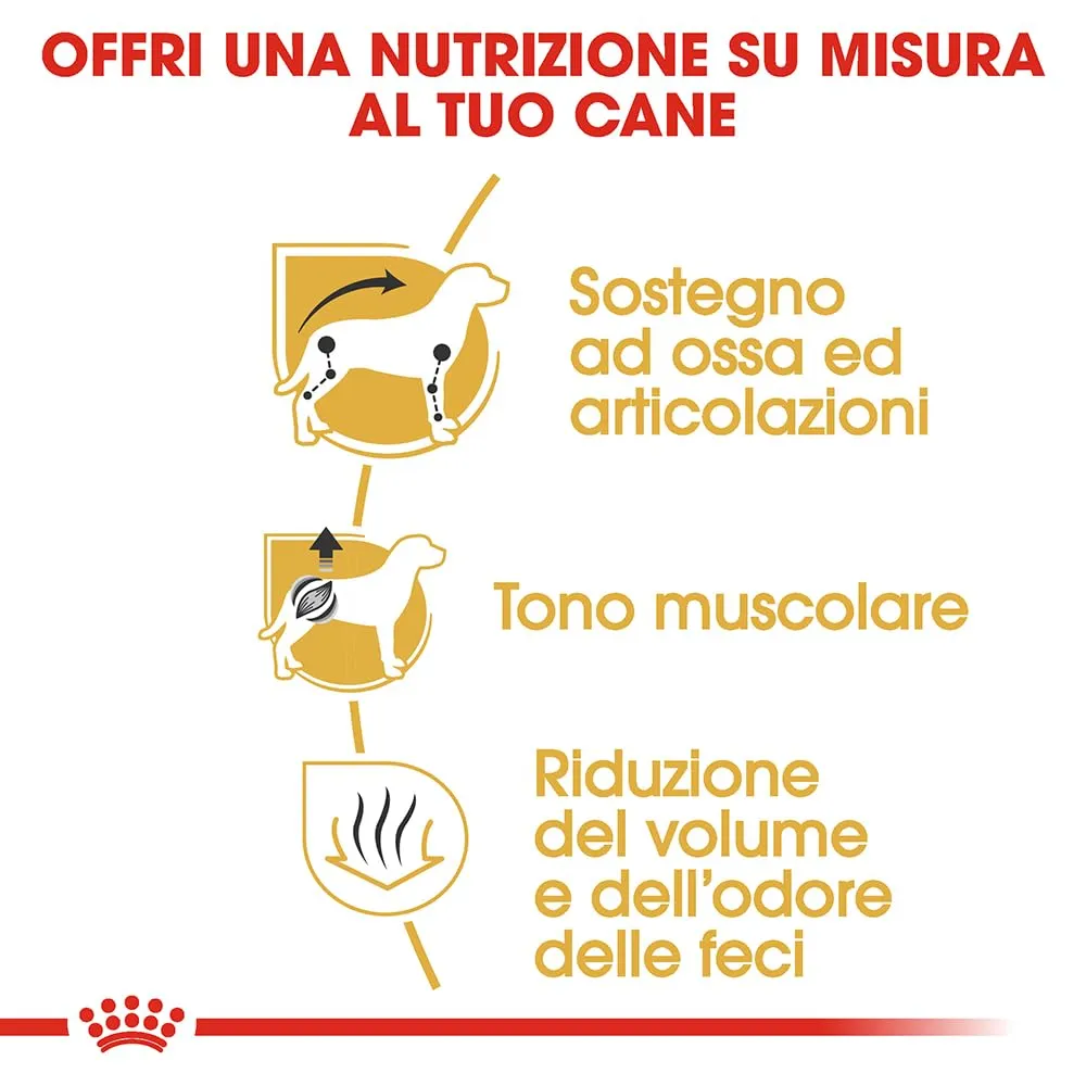 Royal Canin Dachshund Adult Cibo secco per cani, 1.5kg - immagine 5
