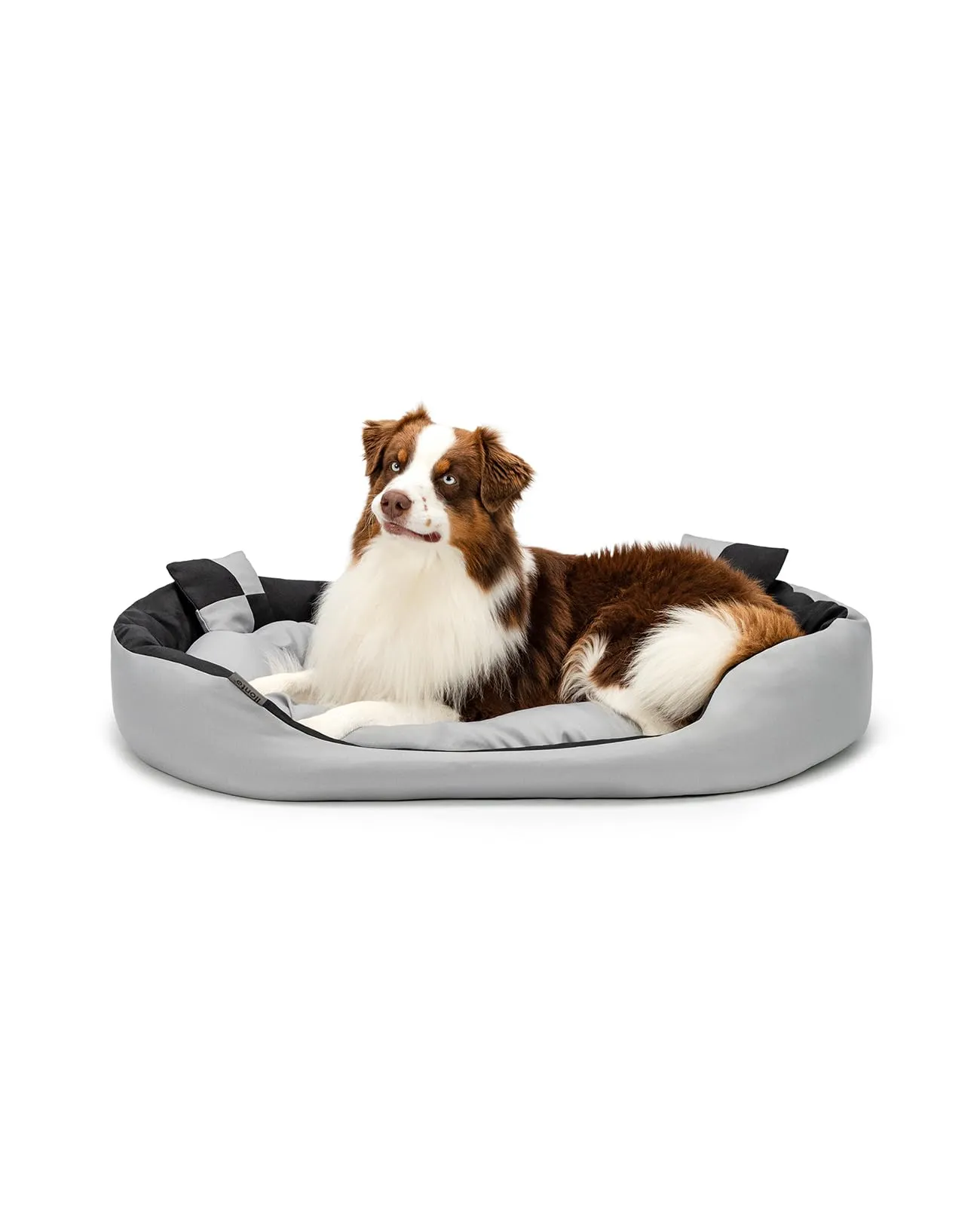 lionto Cuccia Cane 4-in-1 con Cuscino Reversibile, 110x80 cm, Nero - immagine 1