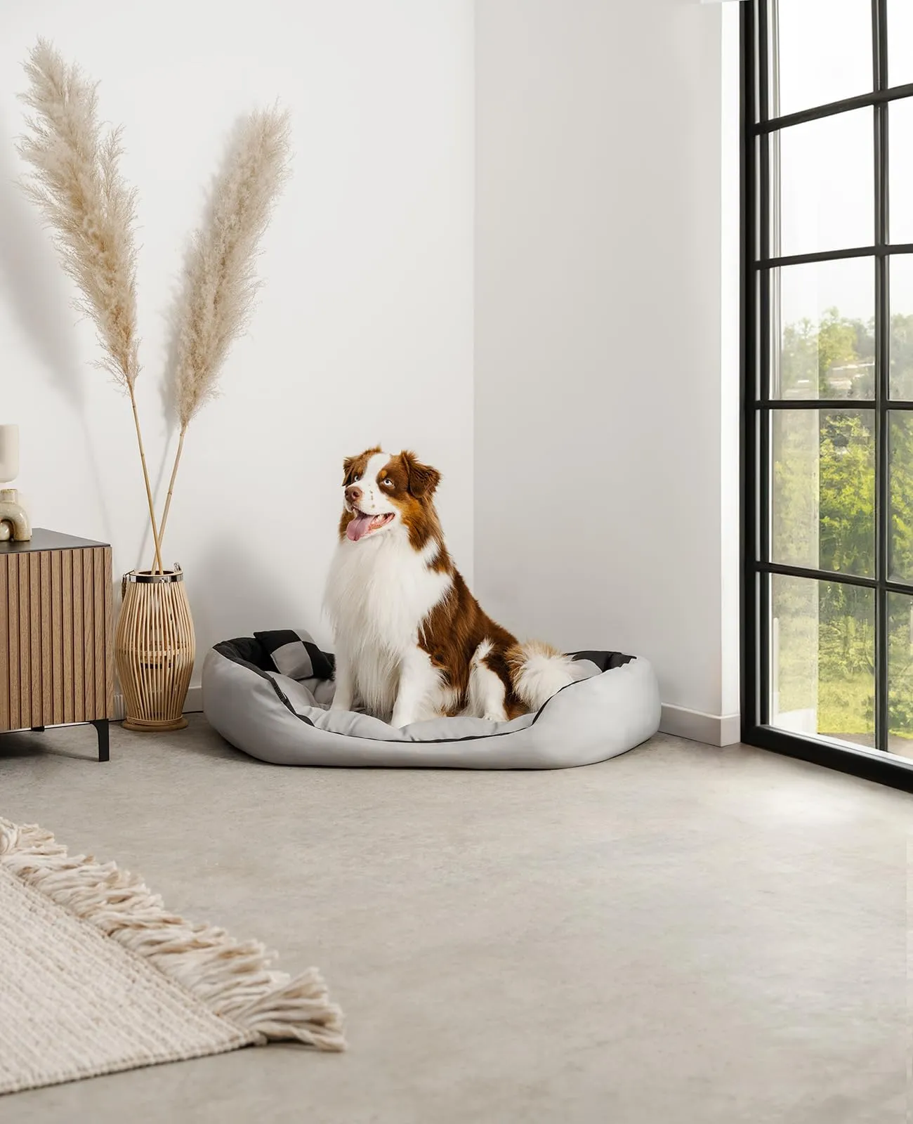 lionto Cuccia Cane 4-in-1 con Cuscino Reversibile, 110x80 cm, Nero - immagine 2