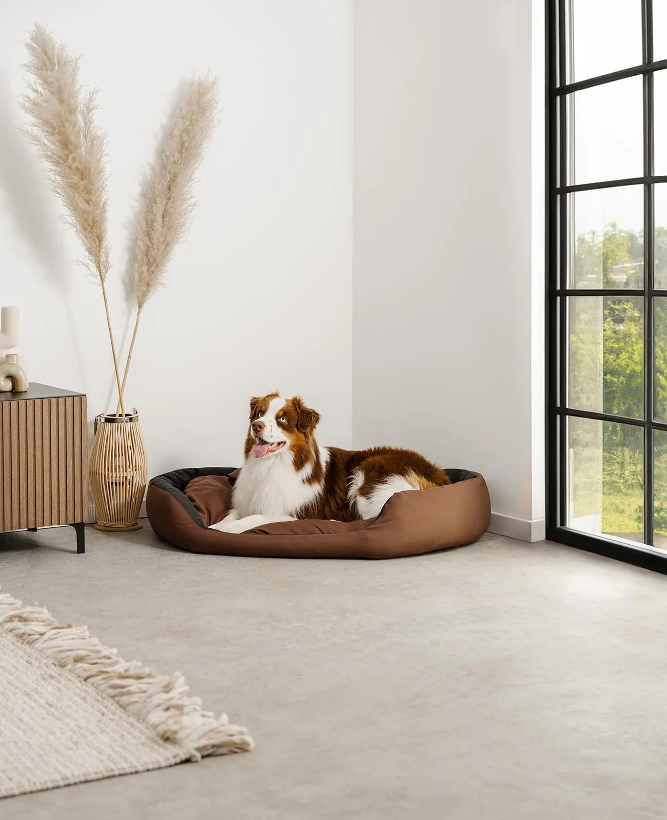 lionto Cuccia Cane 4-in-1 con Cuscino Reversibile, 110x80 cm, Nero - immagine 2