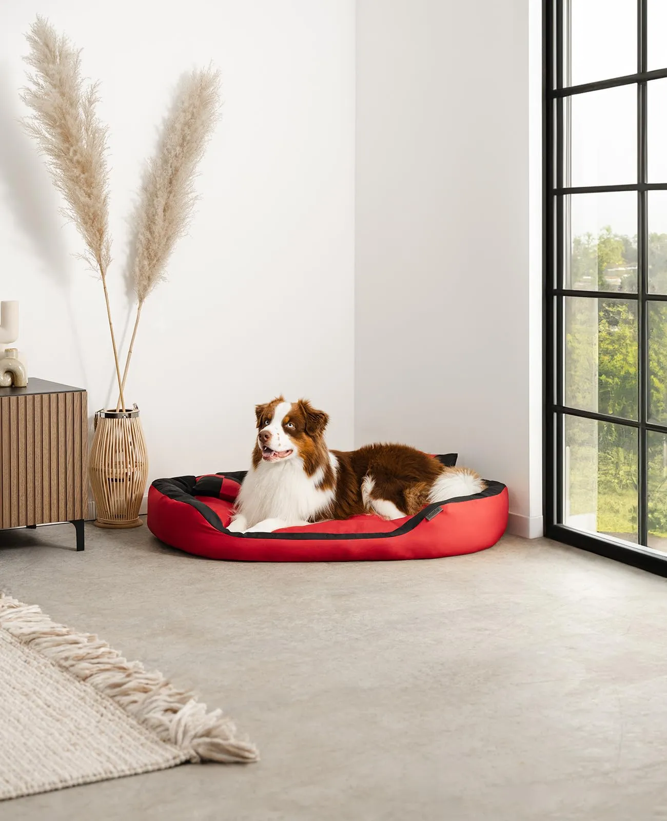 lionto Cuccia Cane 4-in-1 con Cuscino Reversibile, 110x80 cm, Nero - immagine 2