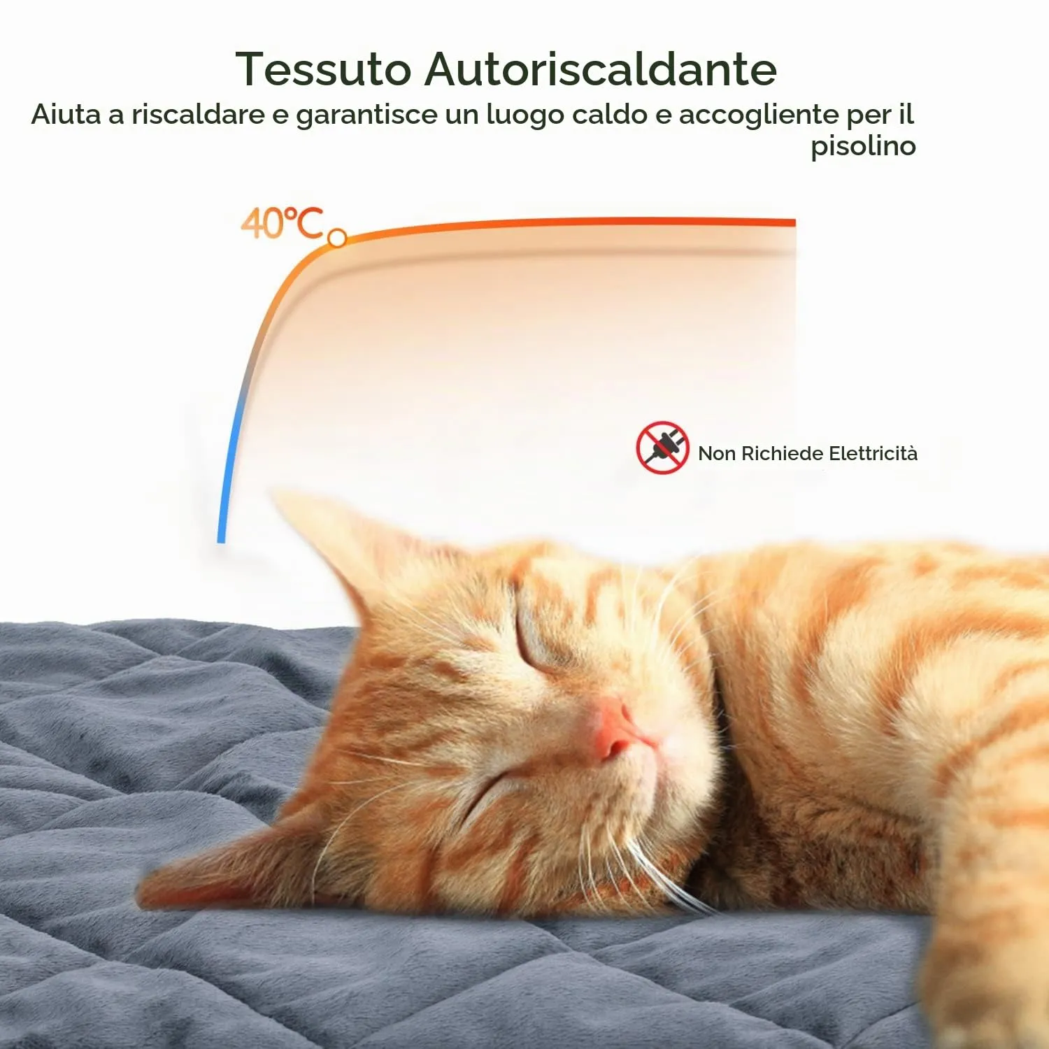 Nobleza Tappetino Autoriscaldante per Gatti e Cani, 60x45 cm, Lavabile - immagine 5
