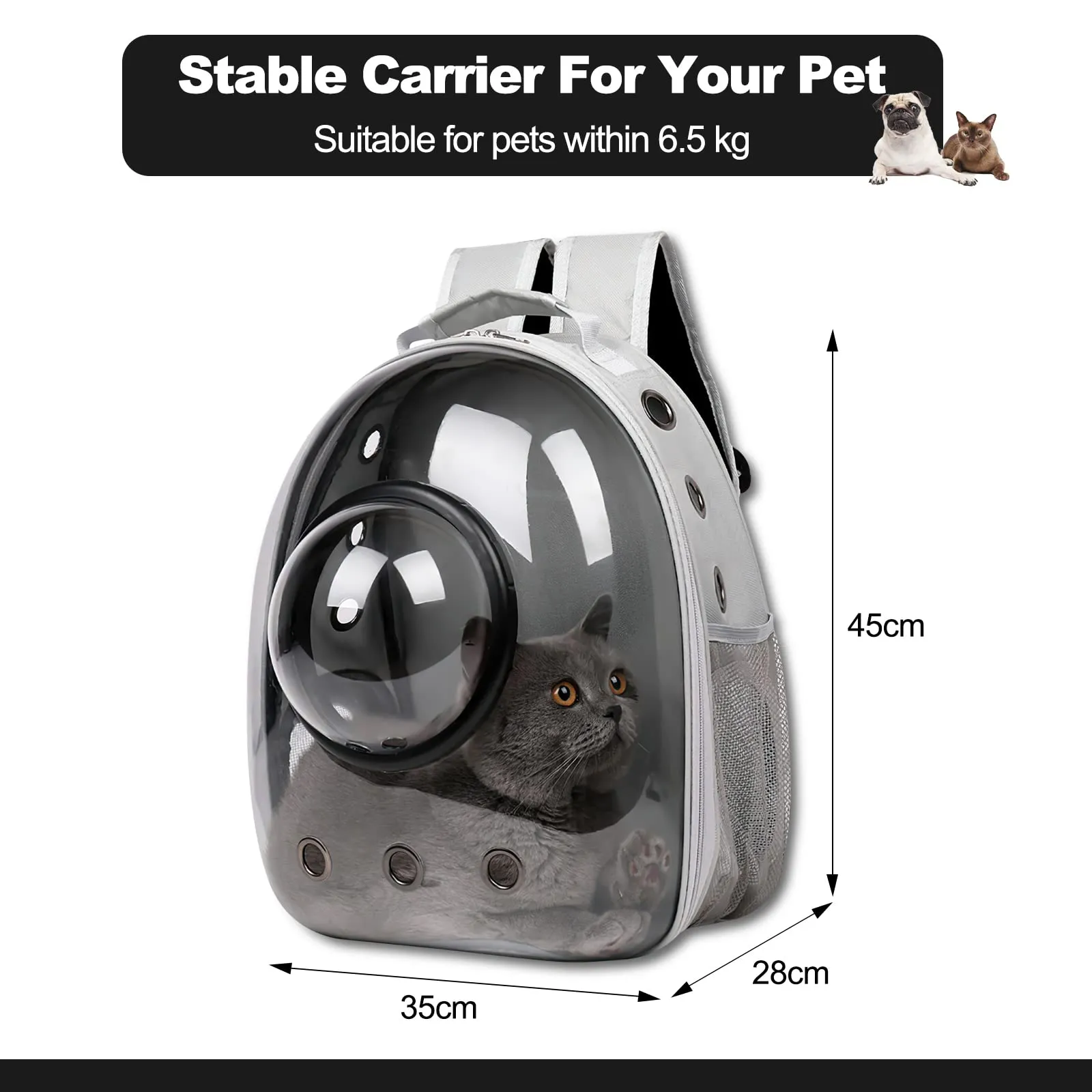 Galatée Zaino Bubble per Gatti e Animali Domestici, Borsa Trasparente Impermeabile con Capsula Ventilata (Nero, Copertura Dorata) - immagine 6