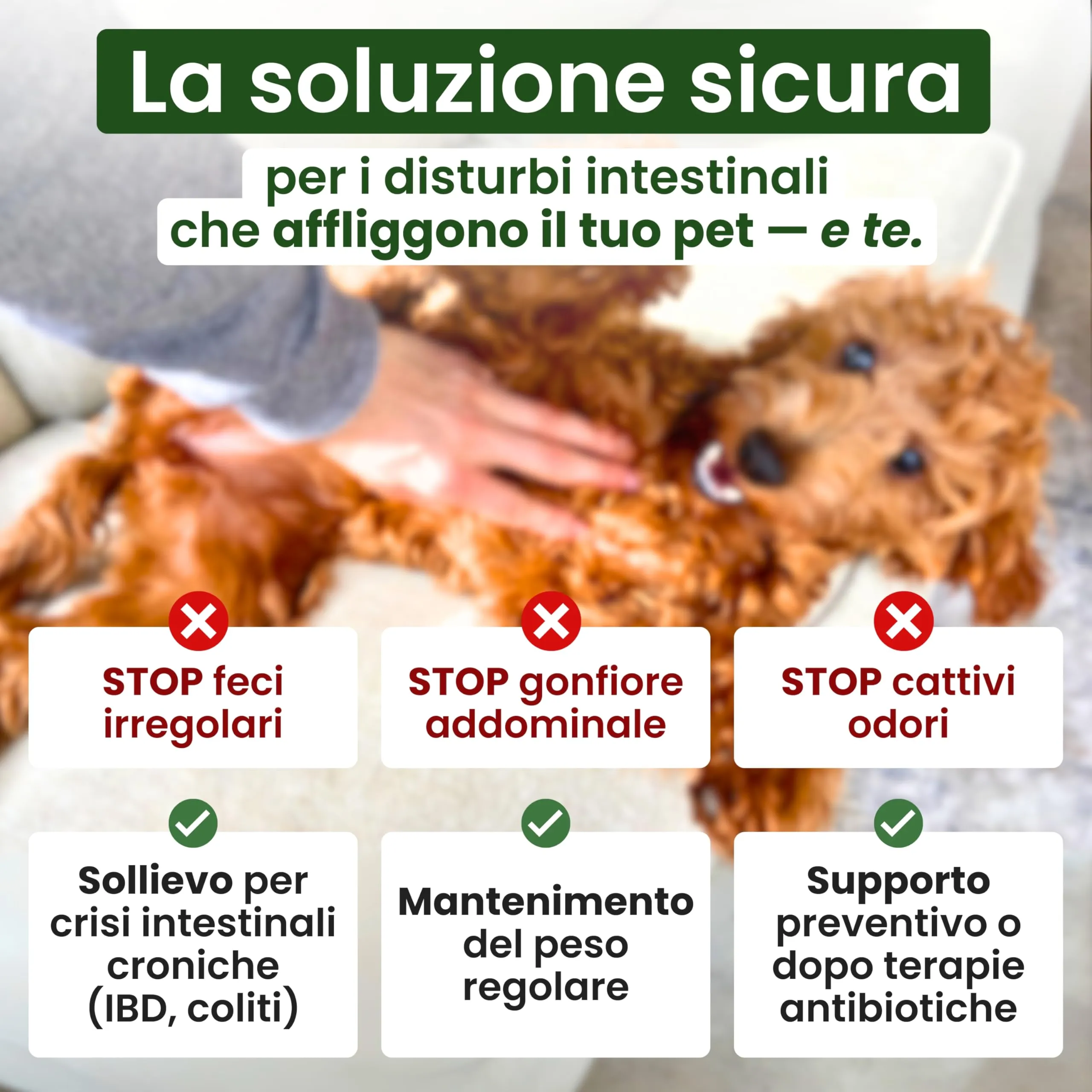 Trebifarma Fibrasol GG per la Regolarità Intestinale di Cani e Gatti, 100g - immagine 3