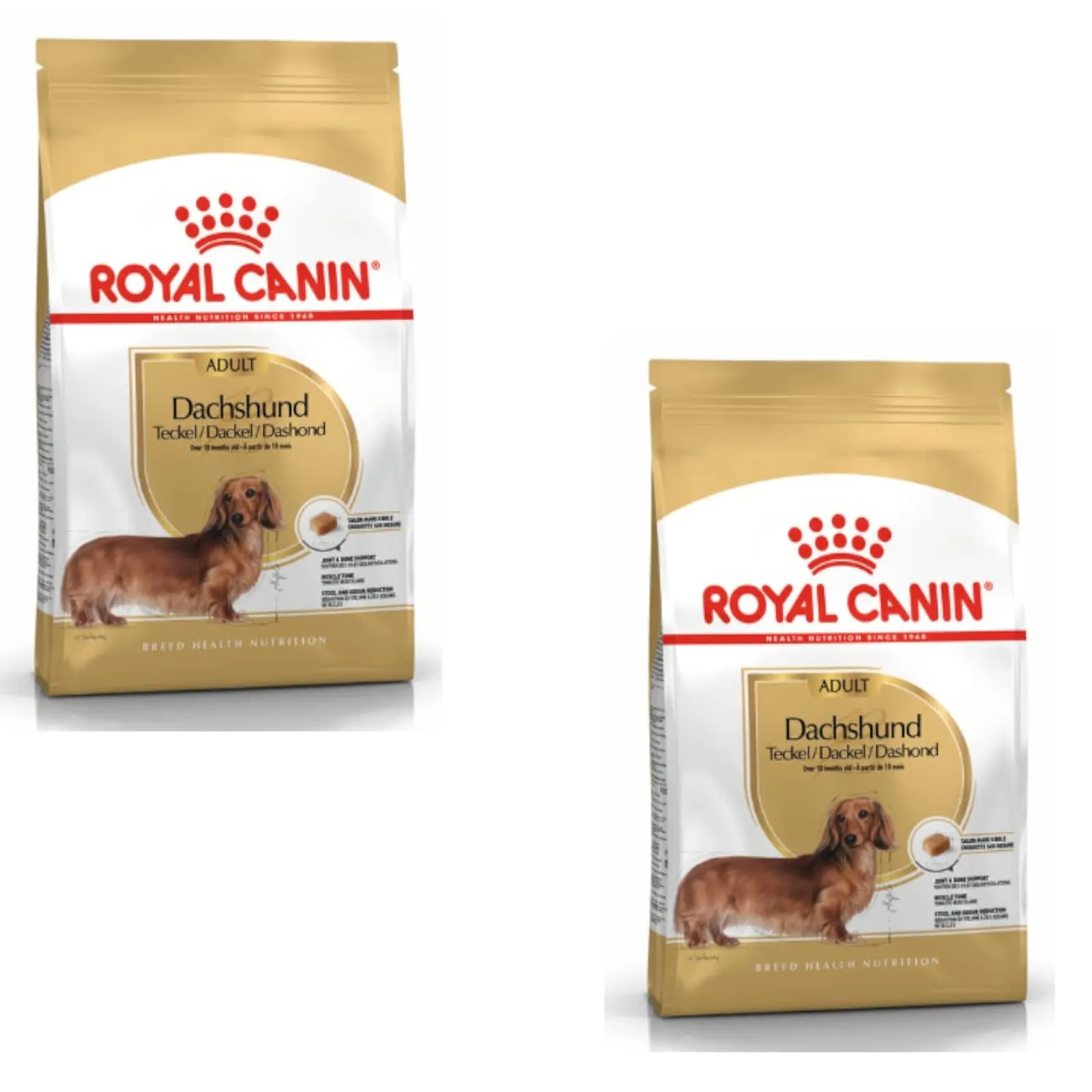 Royal Canin Bassotto Adulto, 2 x 500 g - immagine 1