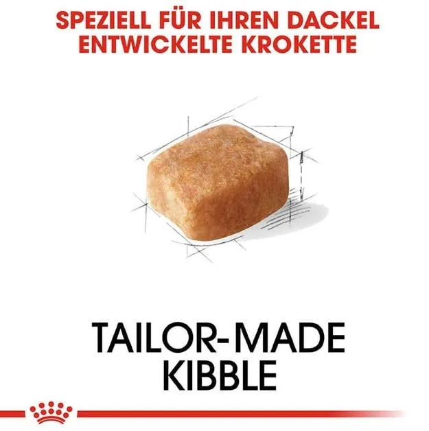 Royal Canin Dachshund Adult, 3 x 500 g - immagine 5