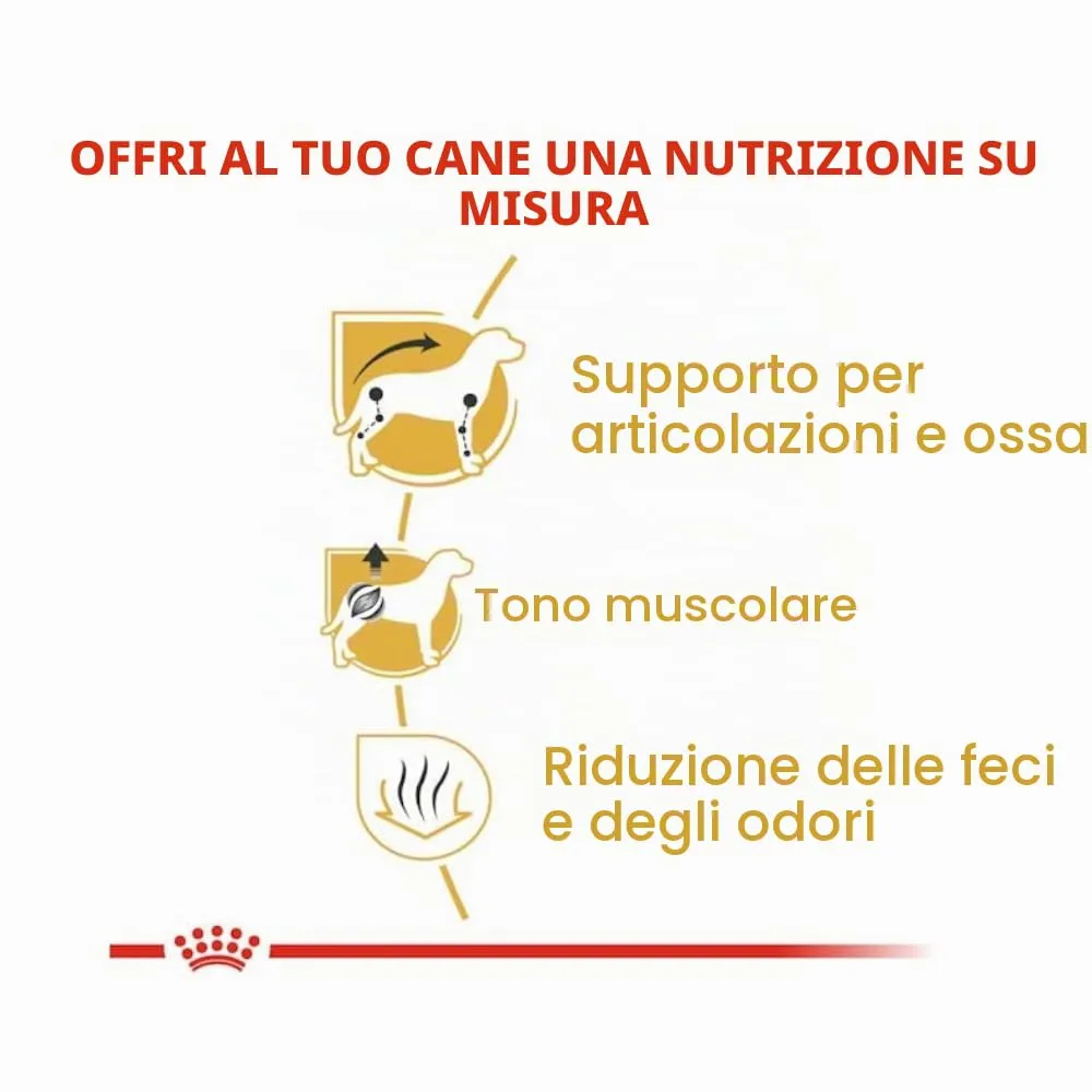 Royal Canin Dachshund Adult, 3 x 500 g - immagine 8