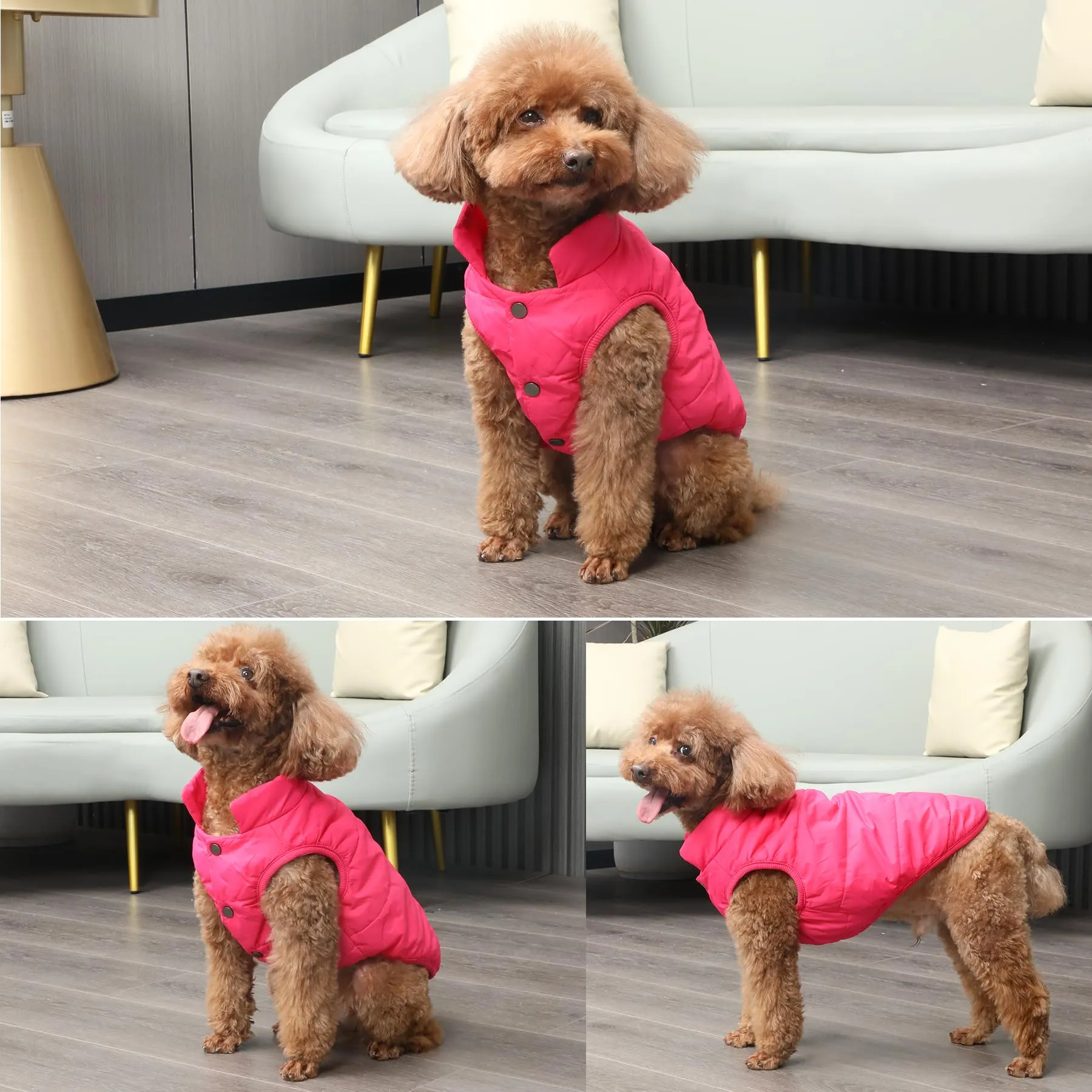 JoyDaog Giacca per cani a 2 strati foderata in pile antivento, Rosa, L - immagine 6
