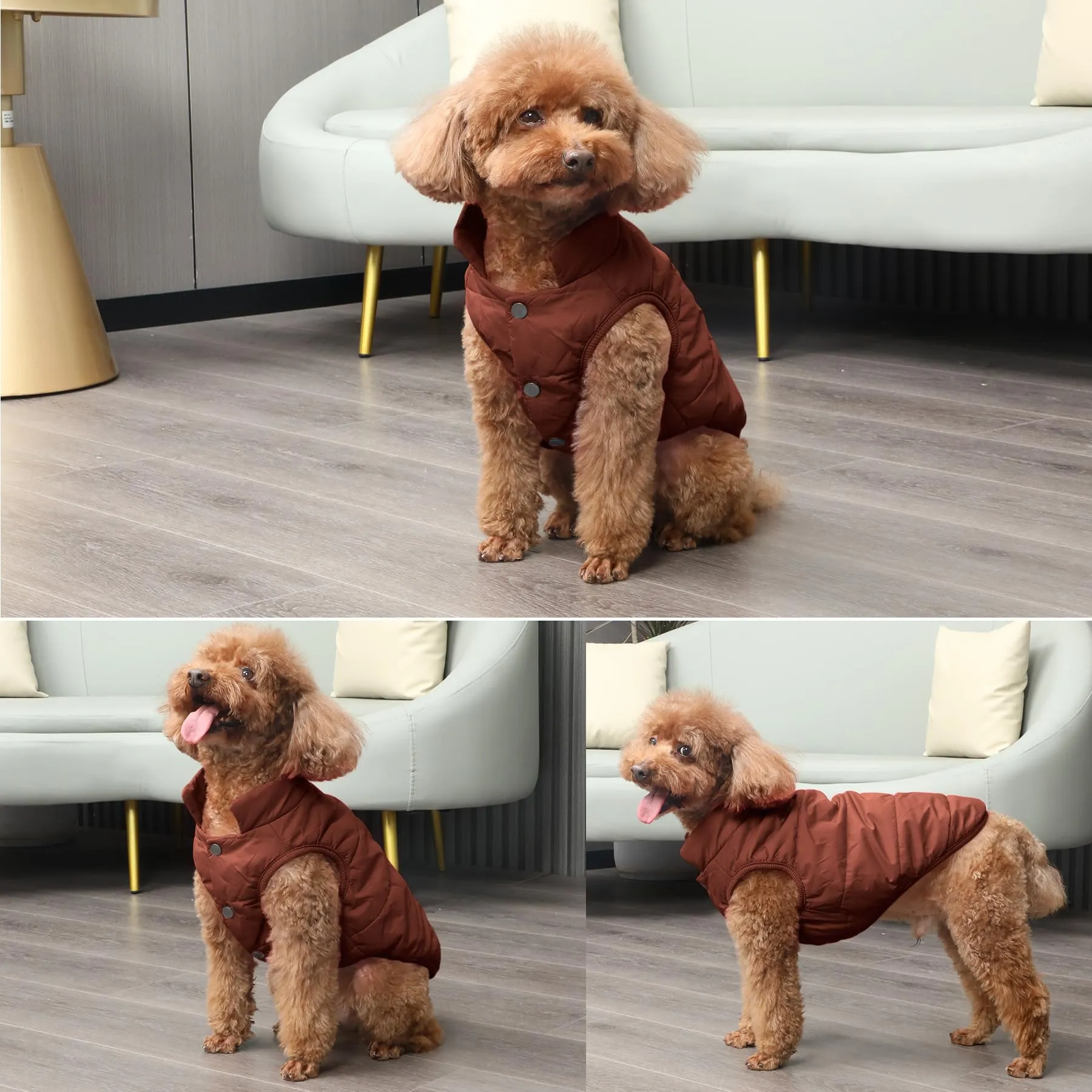 JoyDaog Giacca per Cani a 2 Strati Foderata in Pile Antivento, Marrone, XXXL - immagine 6