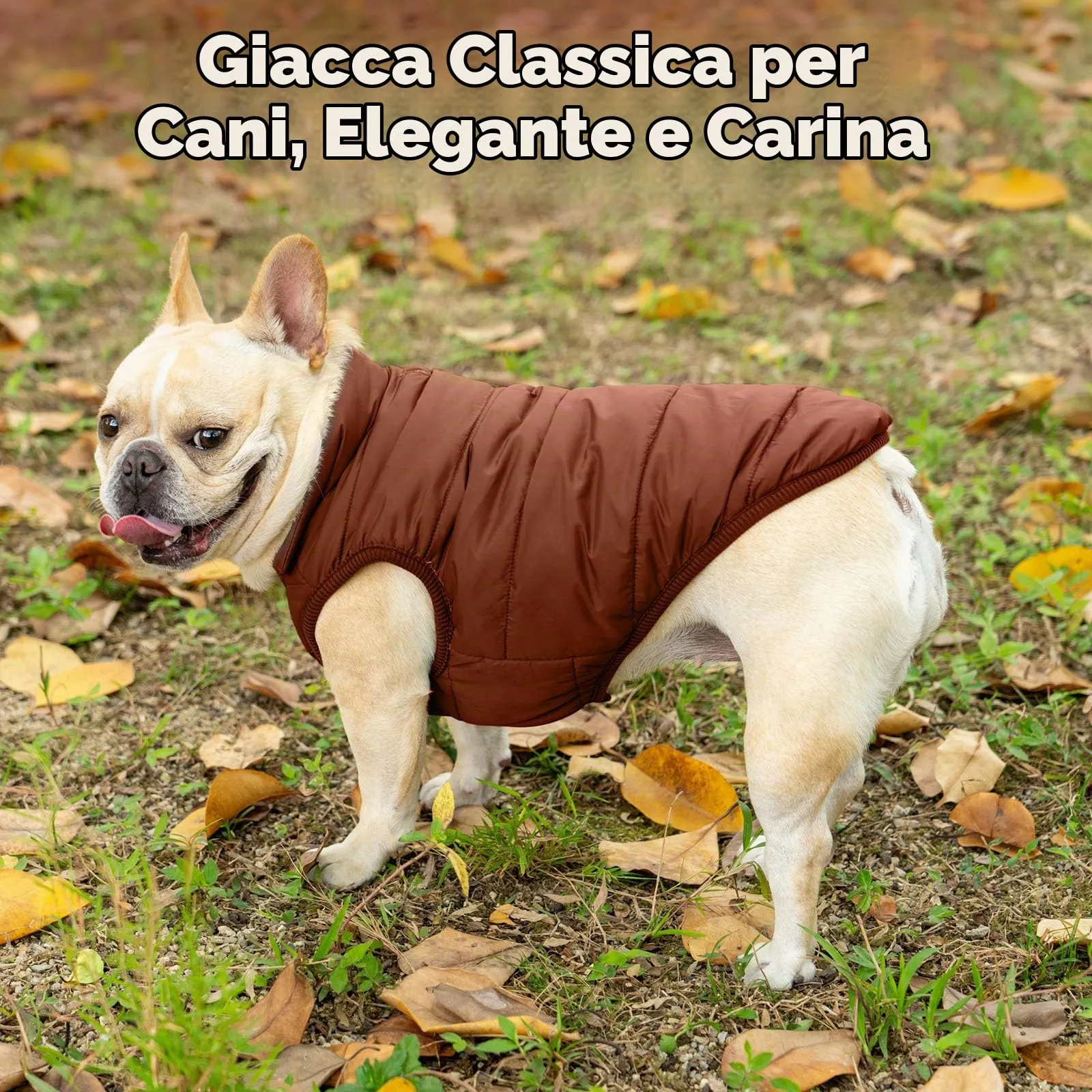 JoyDaog Giacca per Cani a 2 Strati Foderata in Pile Antivento, Marrone, XS - immagine 2