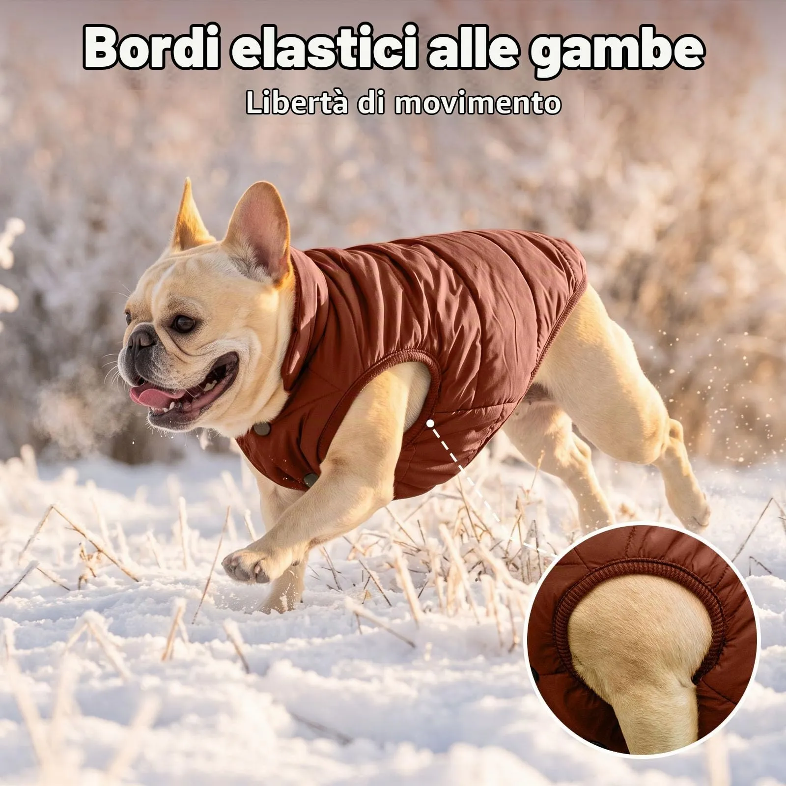 JoyDaog Giacca per Cani a 2 Strati Foderata in Pile Antivento, Marrone, XS - immagine 7