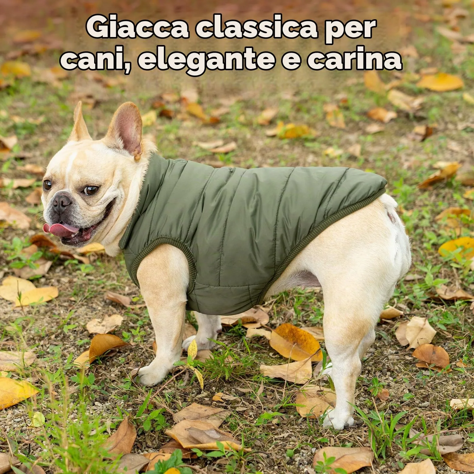 JoyDaog Cappottino per cani foderato in pile, antivento, verde, XXXL - immagine 2