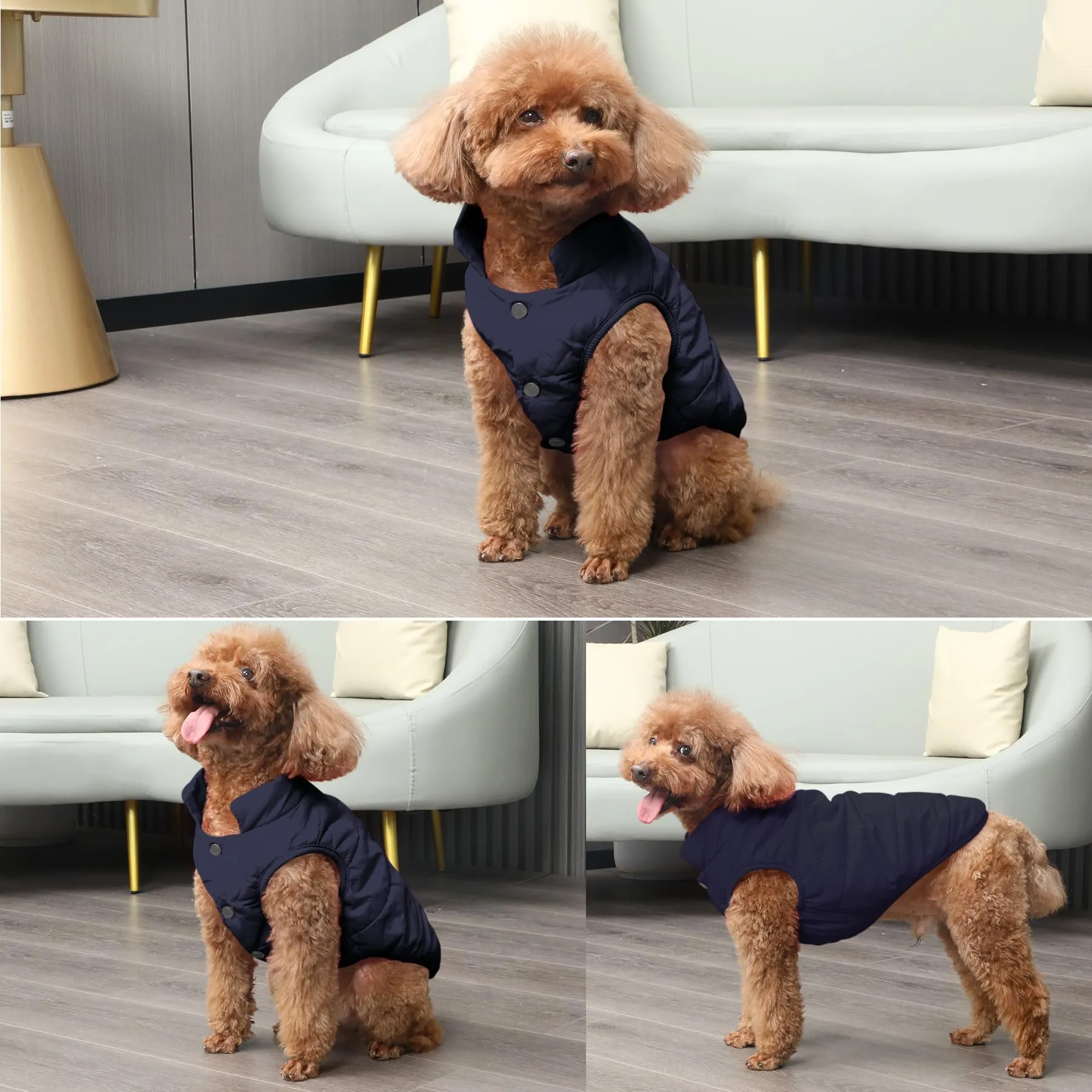 JoyDaog Giacca per cani a 2 strati foderata in pile antivento, Blu, L - immagine 6